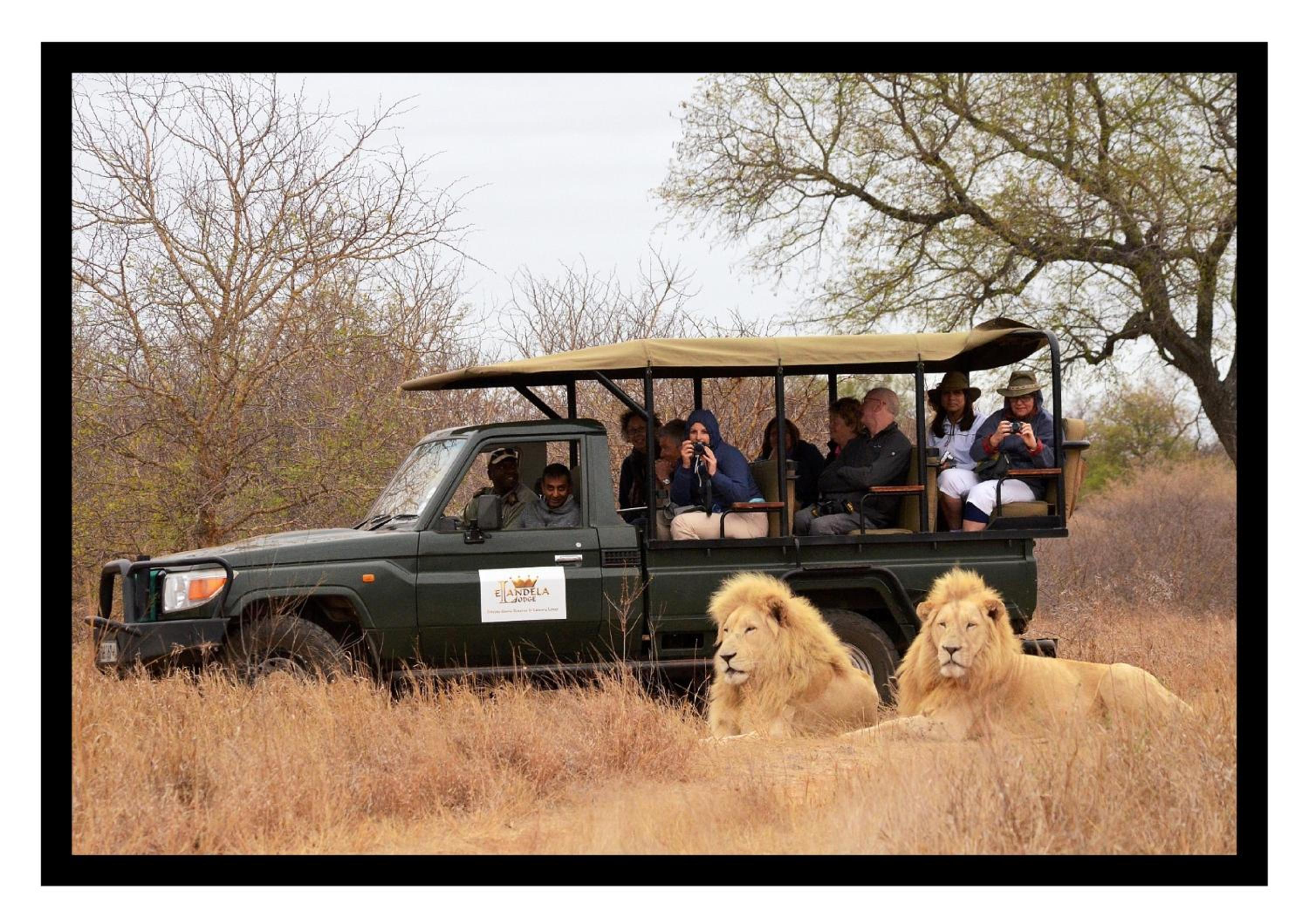 Elandela Private Game Reserve and Luxury Lodges Pty Ltd view 2