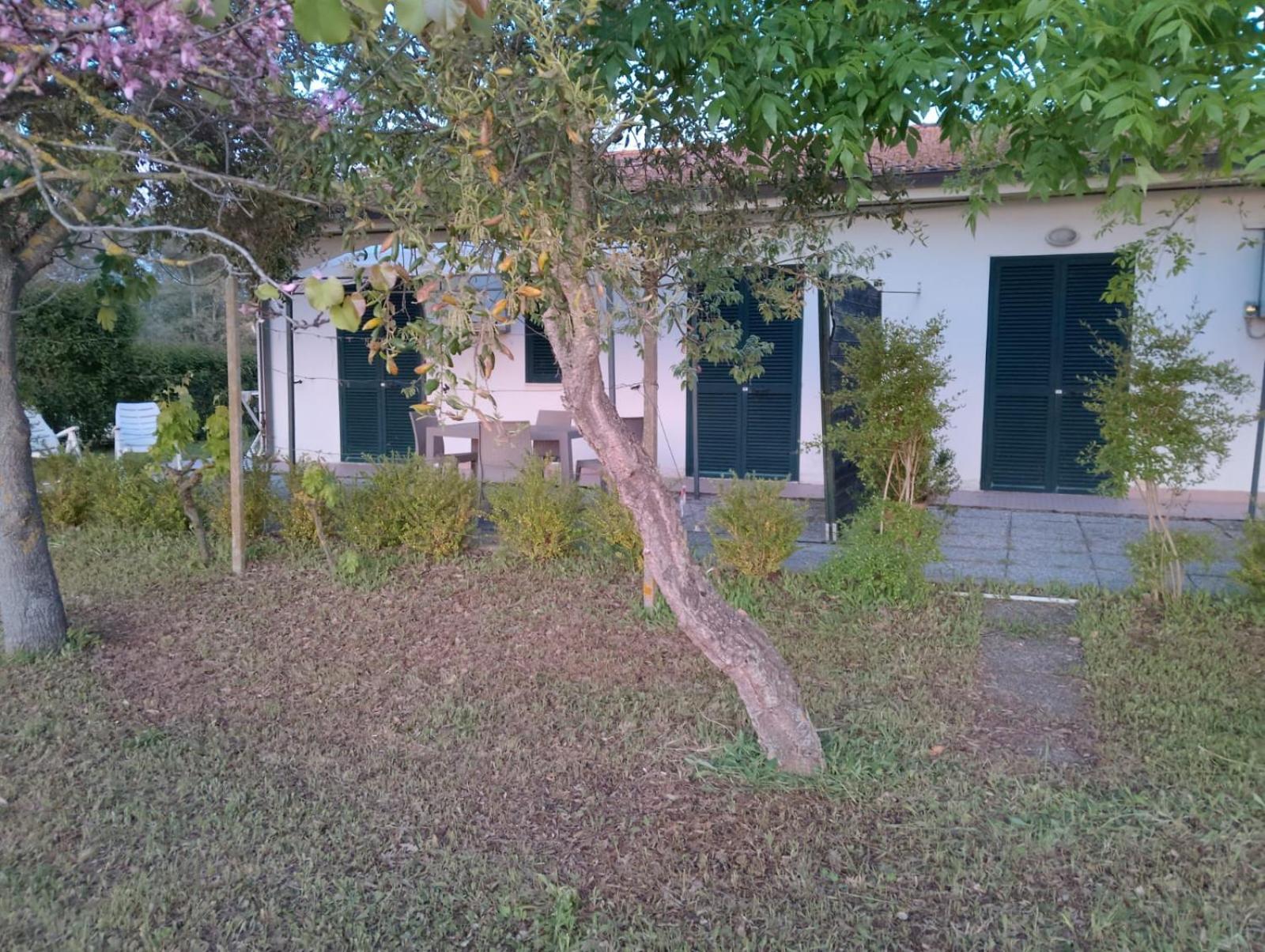 Photo 45