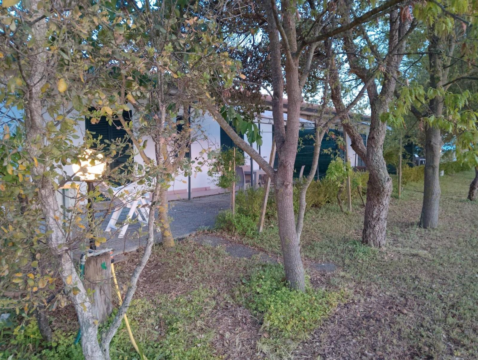 Photo 40