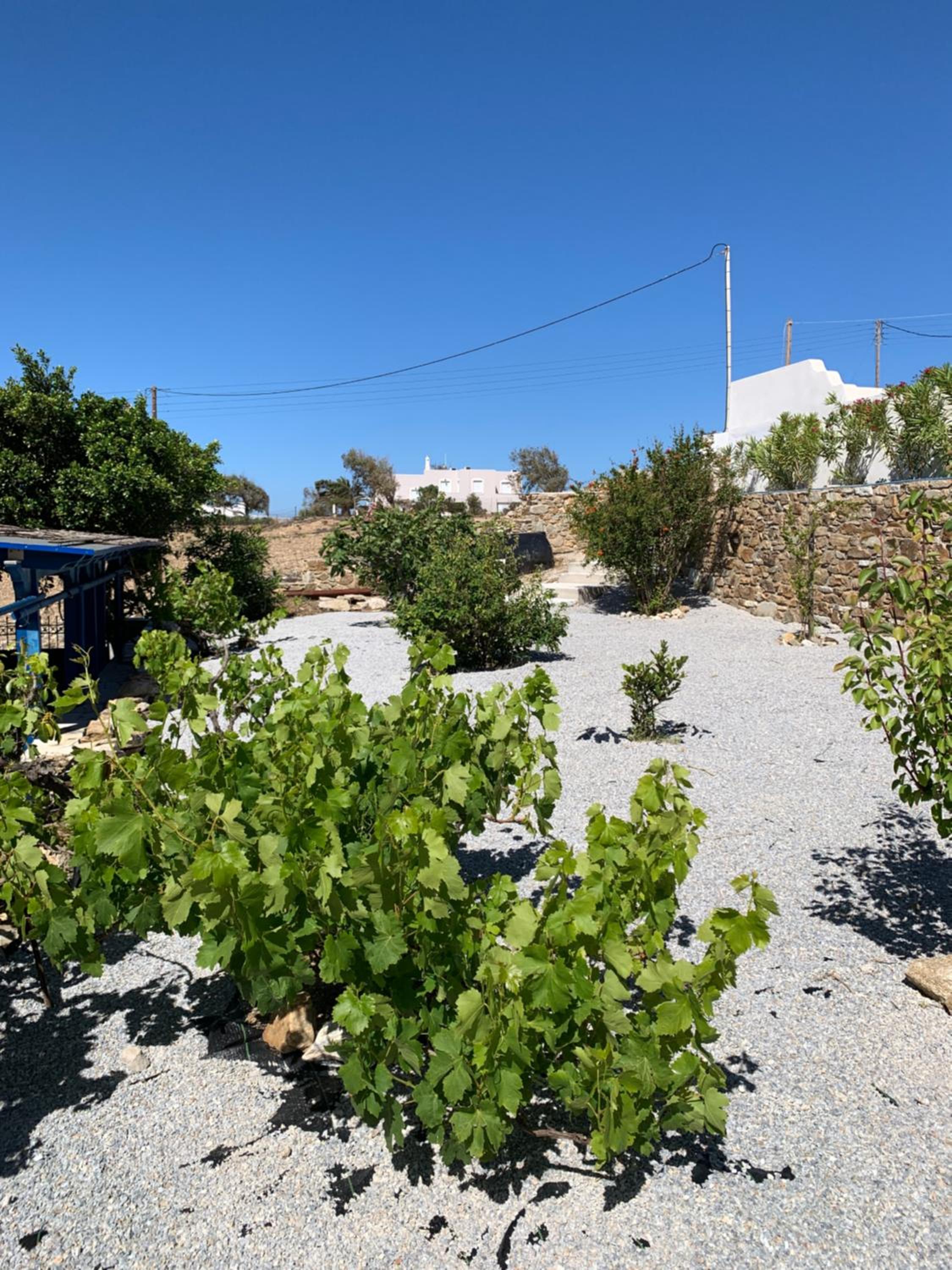 Villa of Roses in Naxos - Private villa with pool