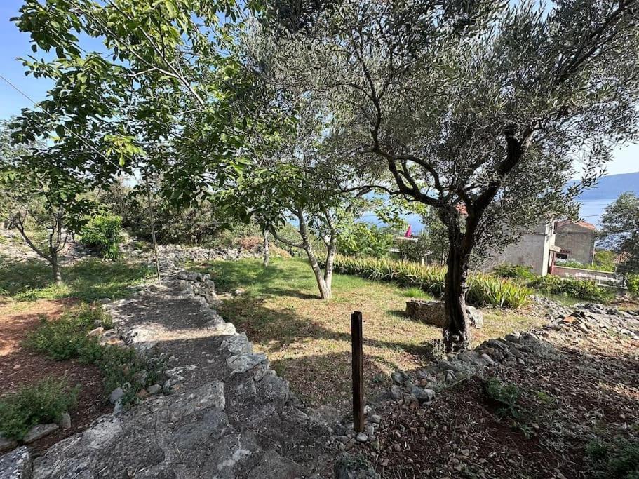 Stone Cottage Cesarovina view 2