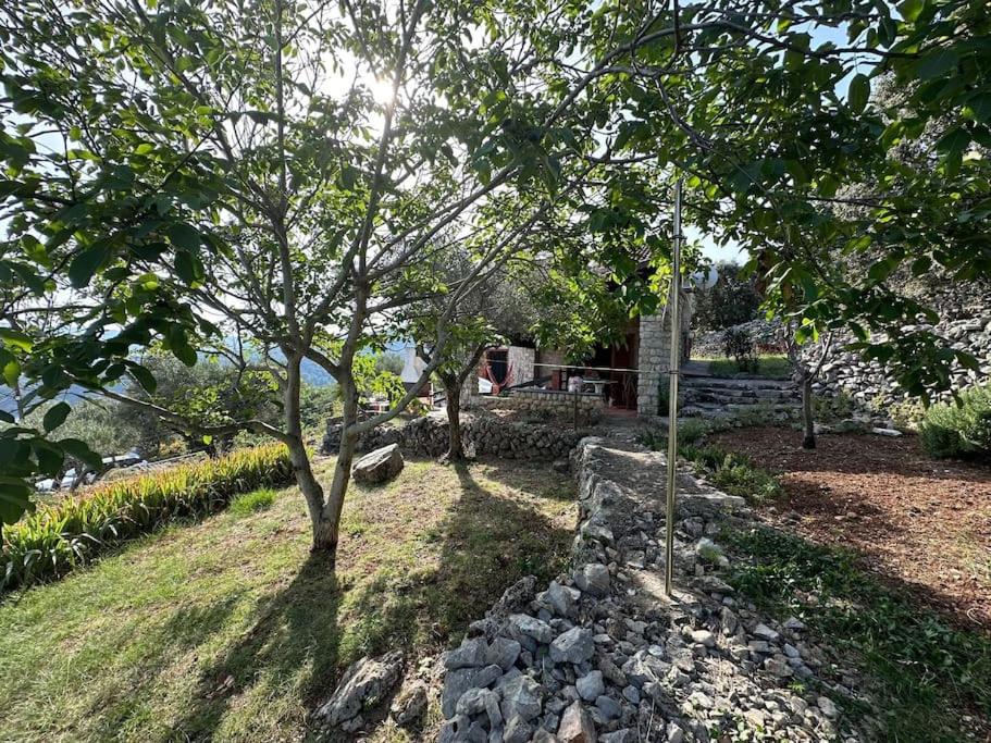 Stone Cottage Cesarovina view 3