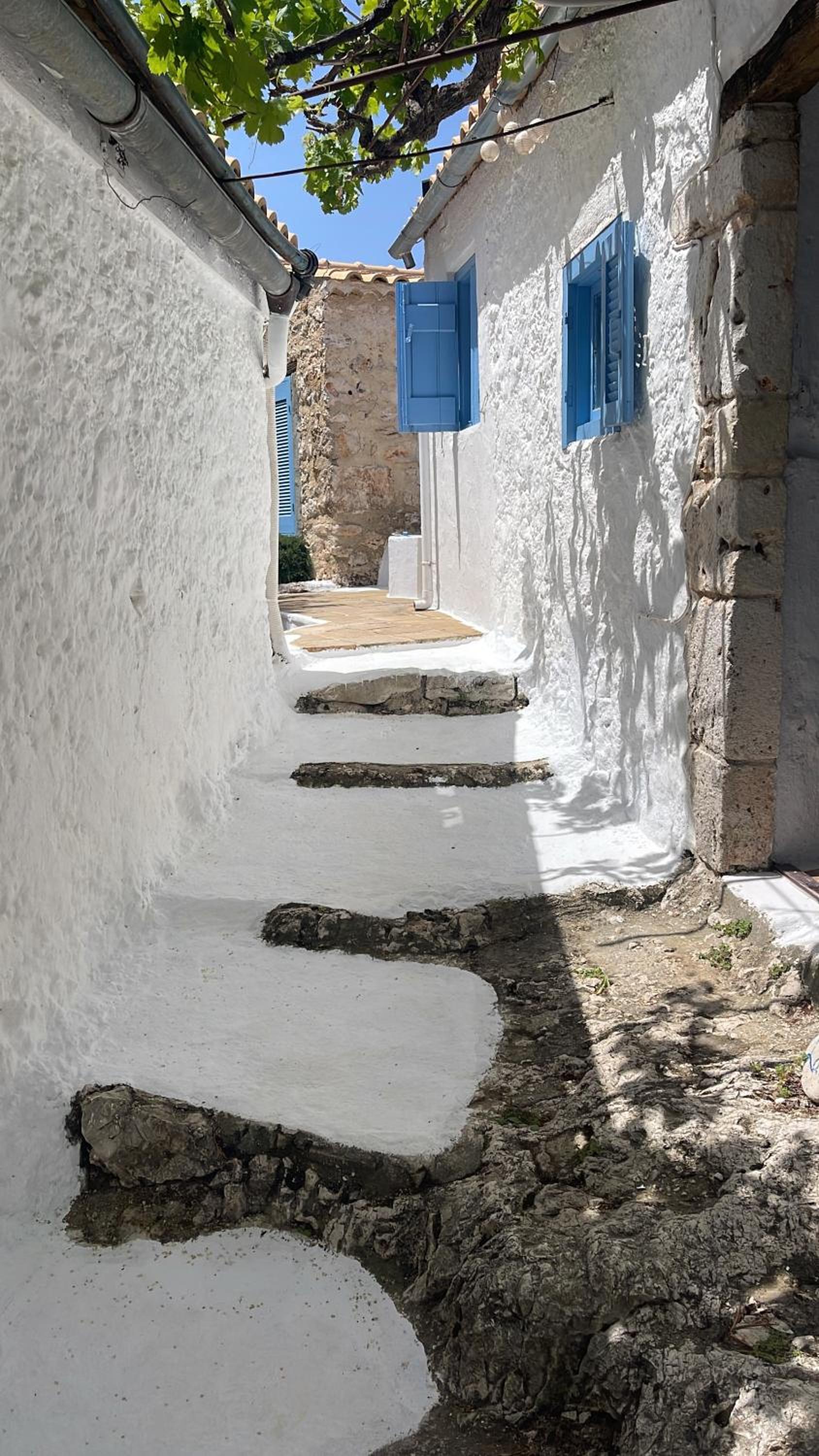 Xyloporta