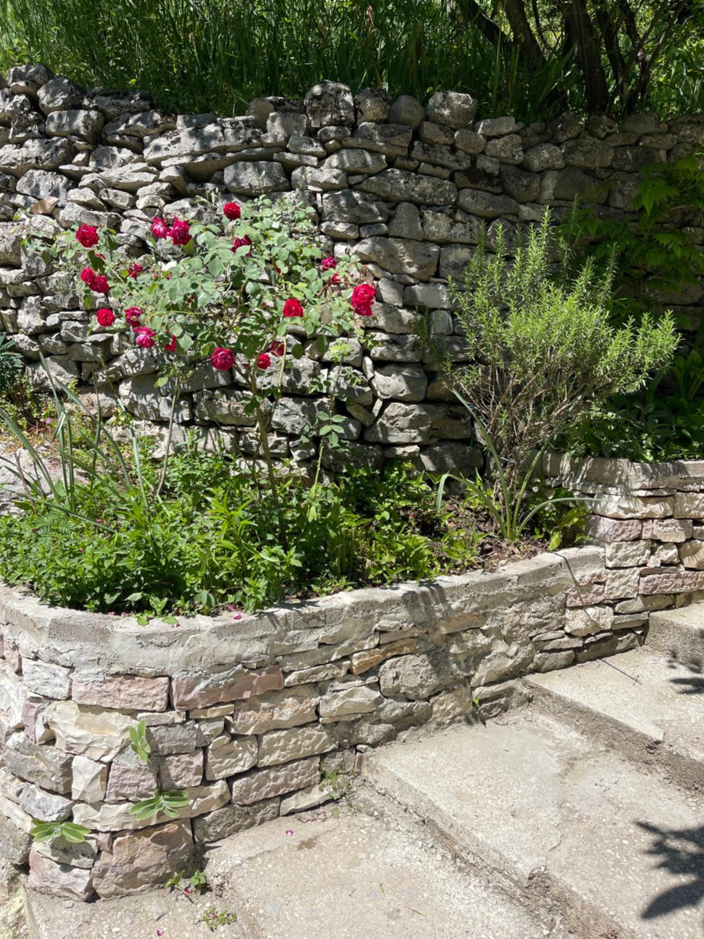 Latifi Guesthouse