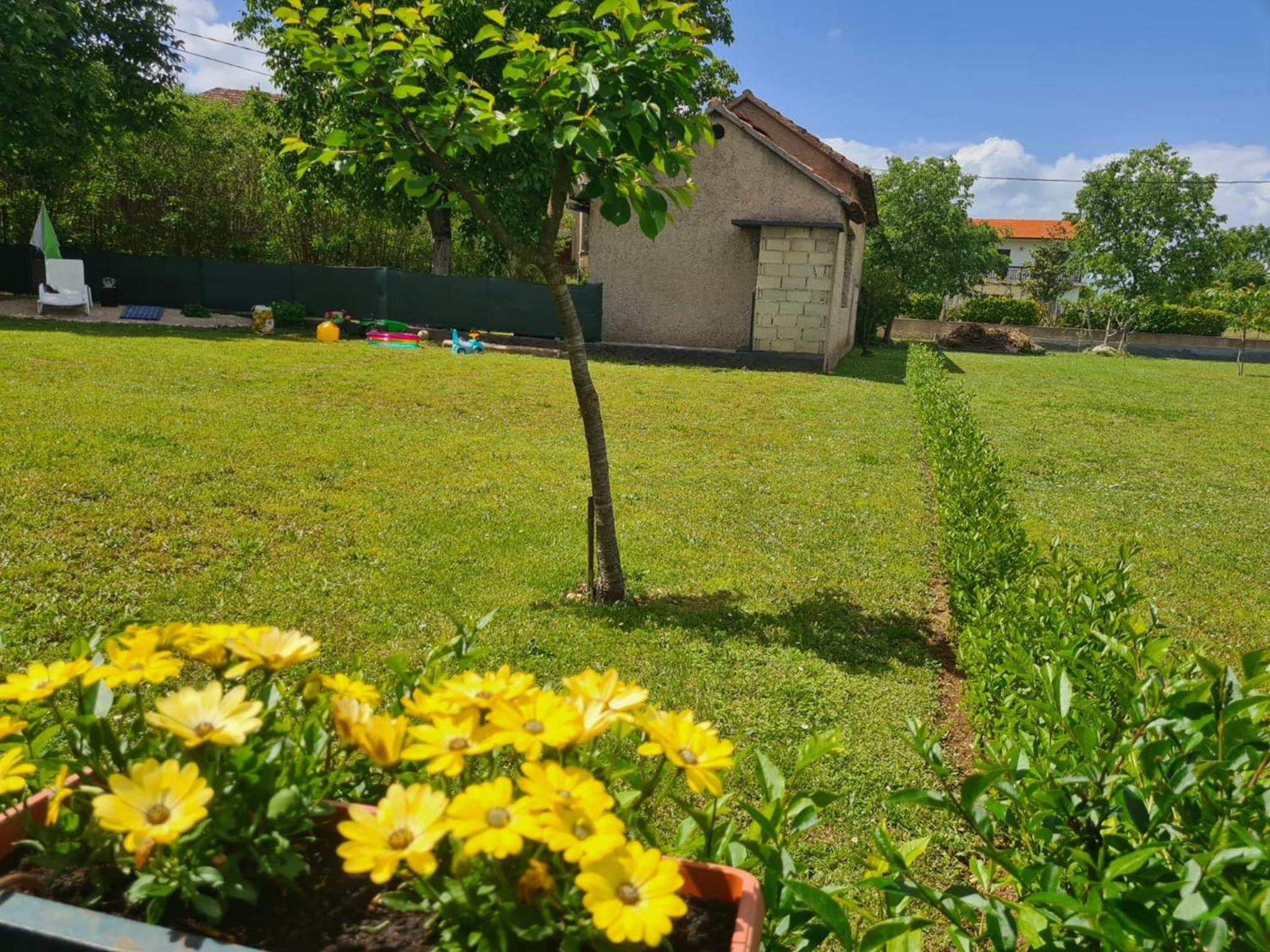 Holiday Home Matija
