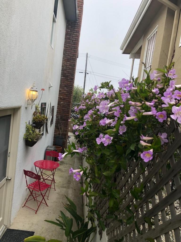 Overlooking Marina del Rey sailboats, is Green Ginger Playa Del Rey on the bluff,