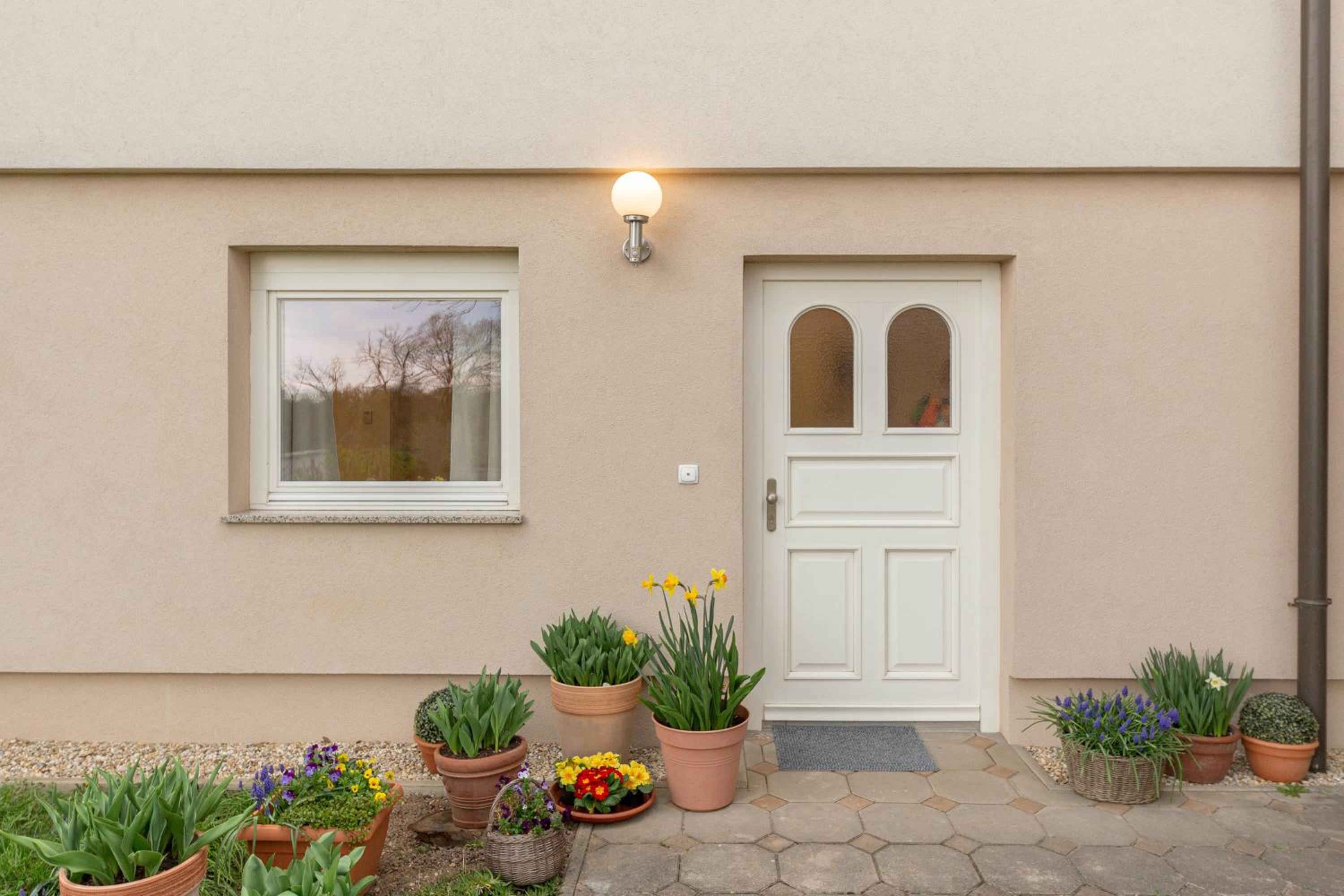 Cozy Garden Flat view 5