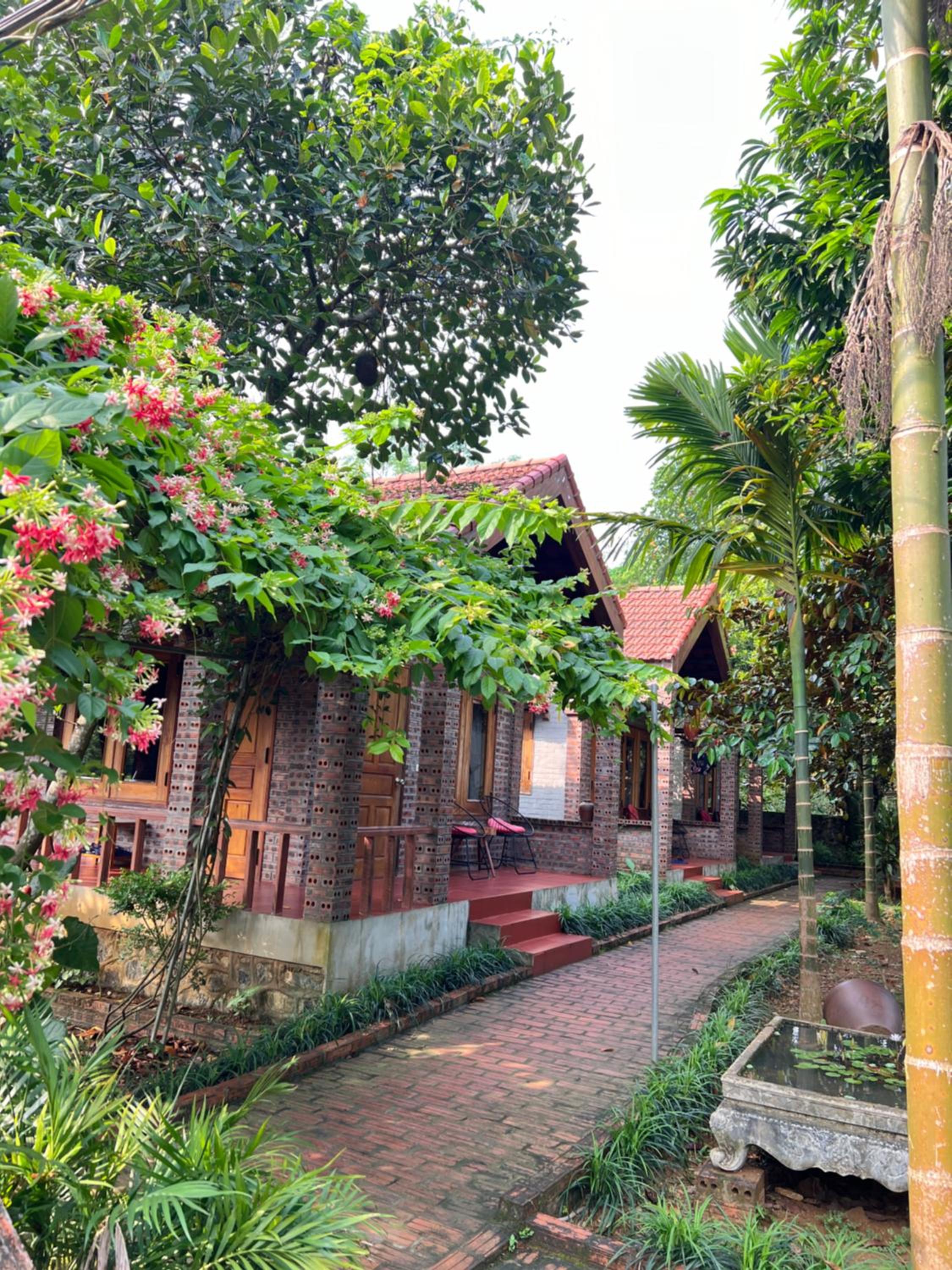 Ninh Binh Family Homestay
