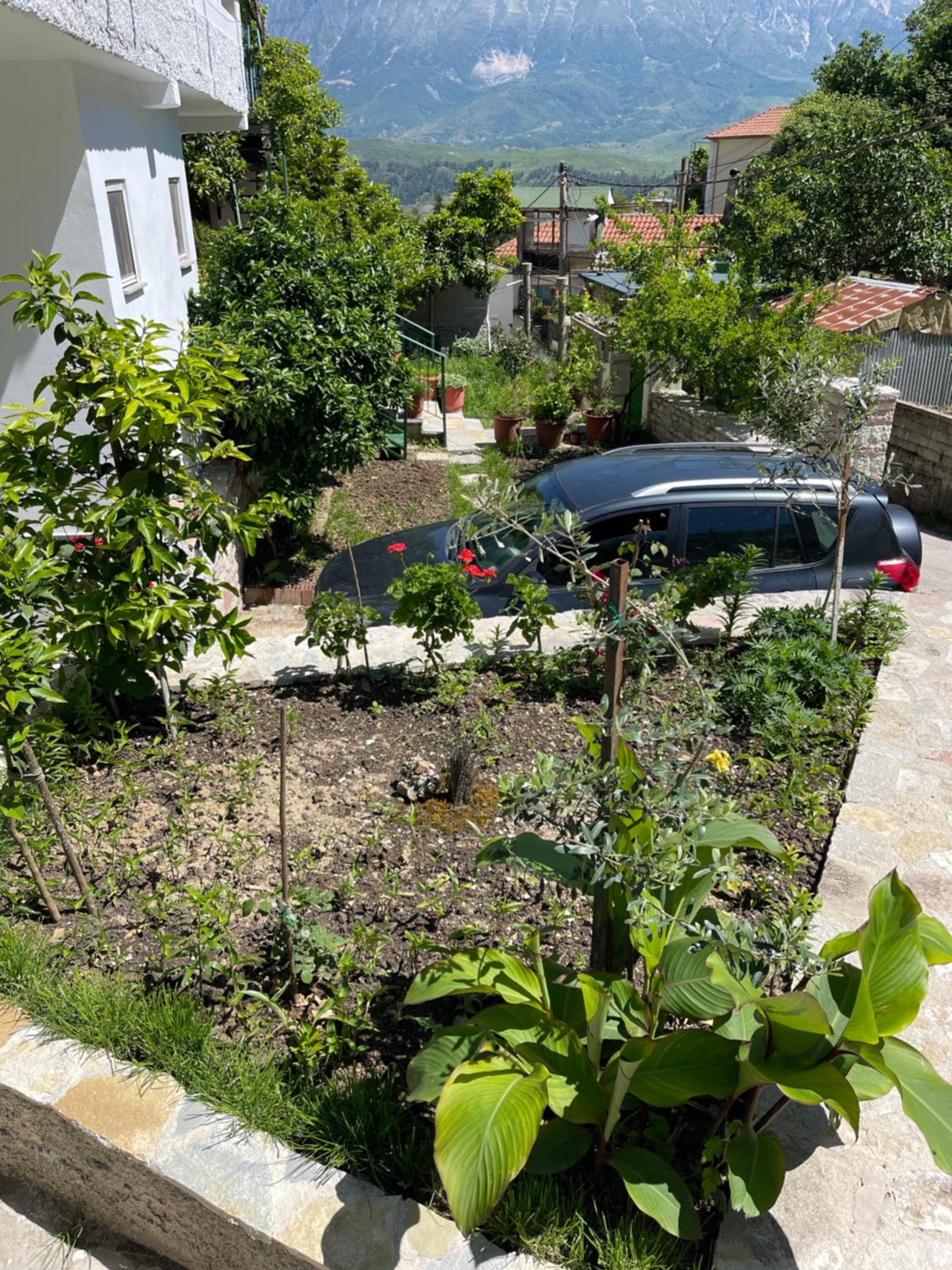 Latifi Guesthouse