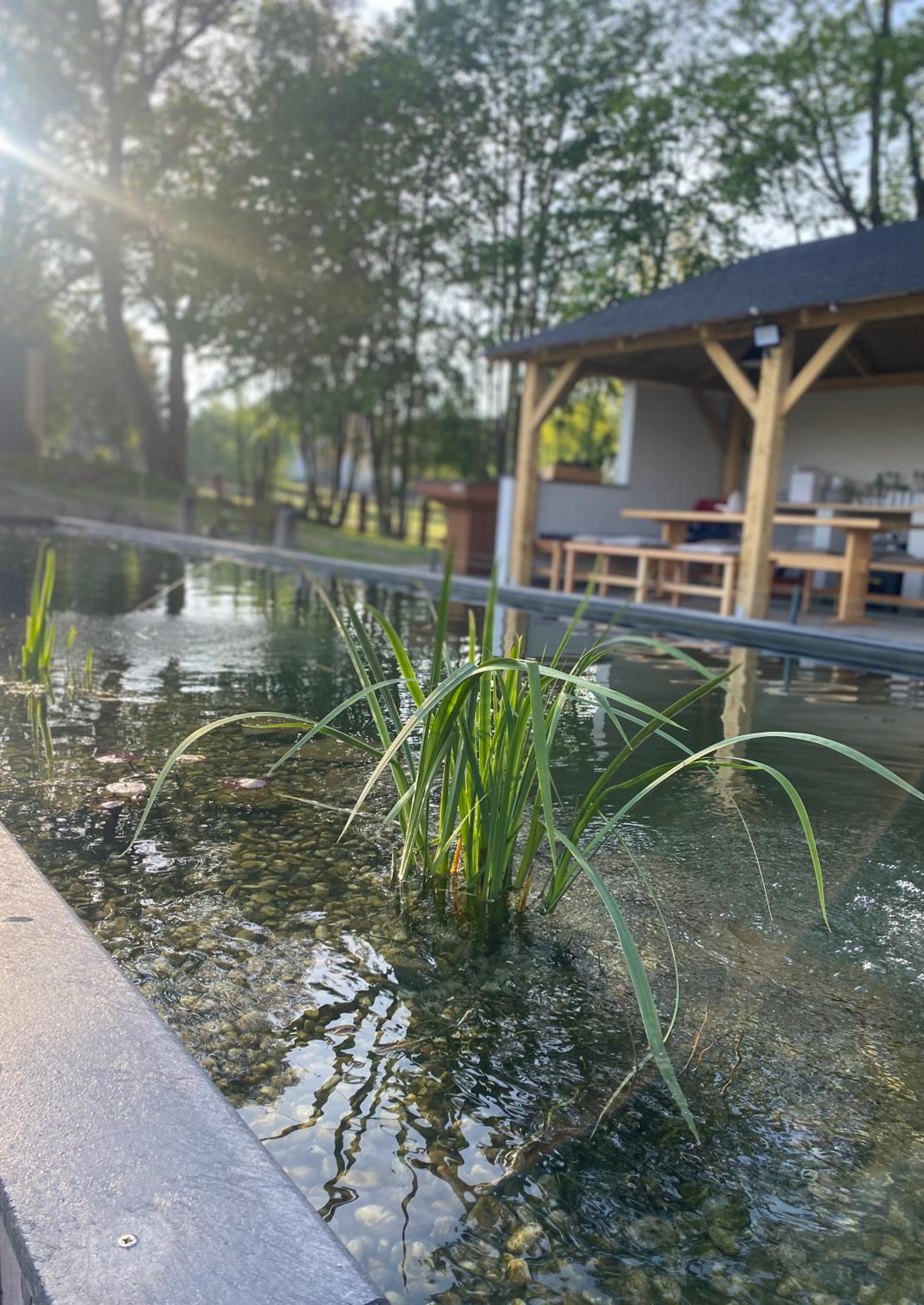 Alexa Resort