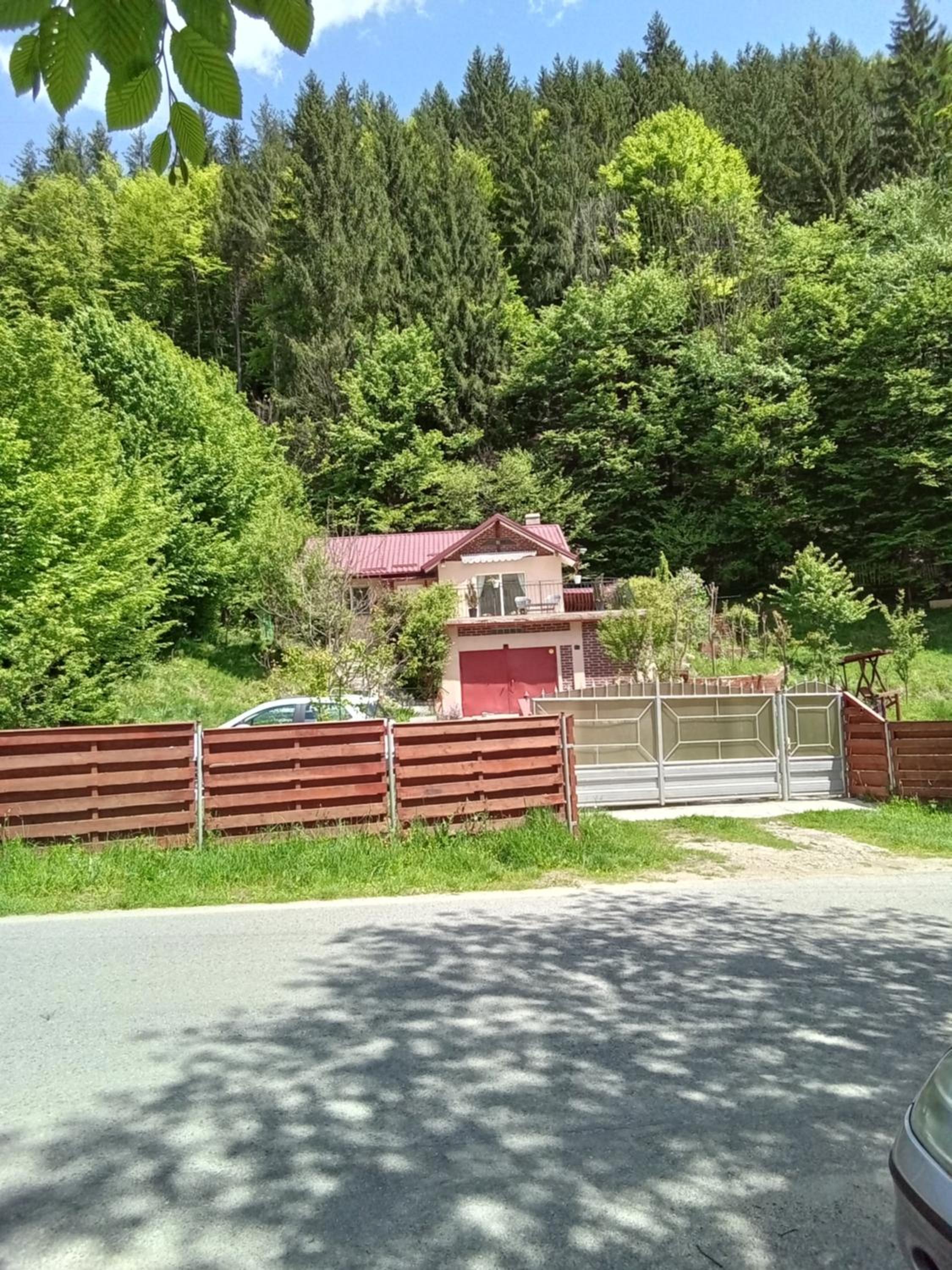 Photo 42