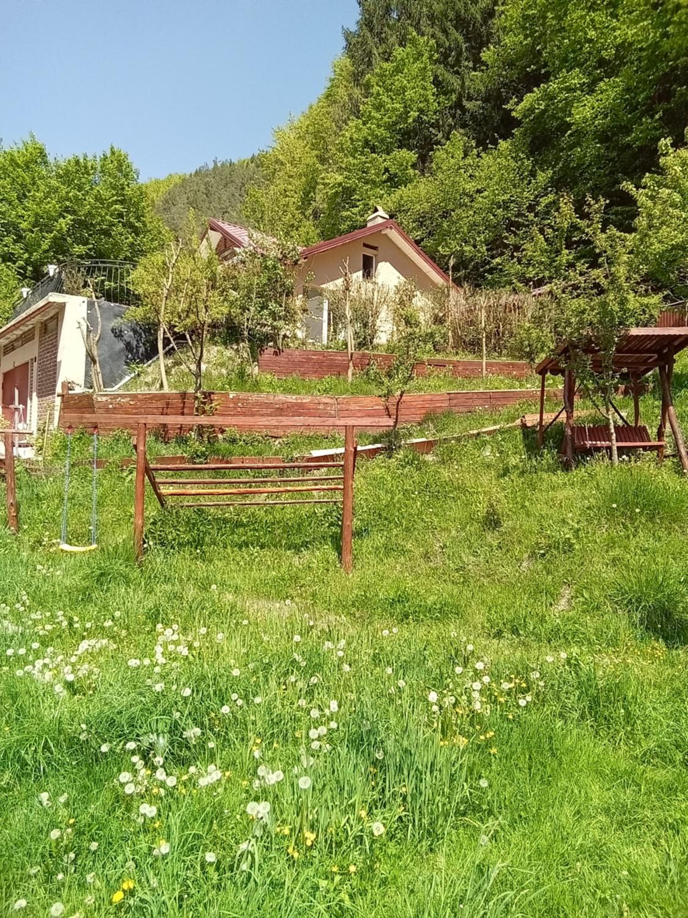 Photo 44