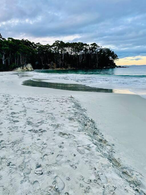 Bruny Serenade