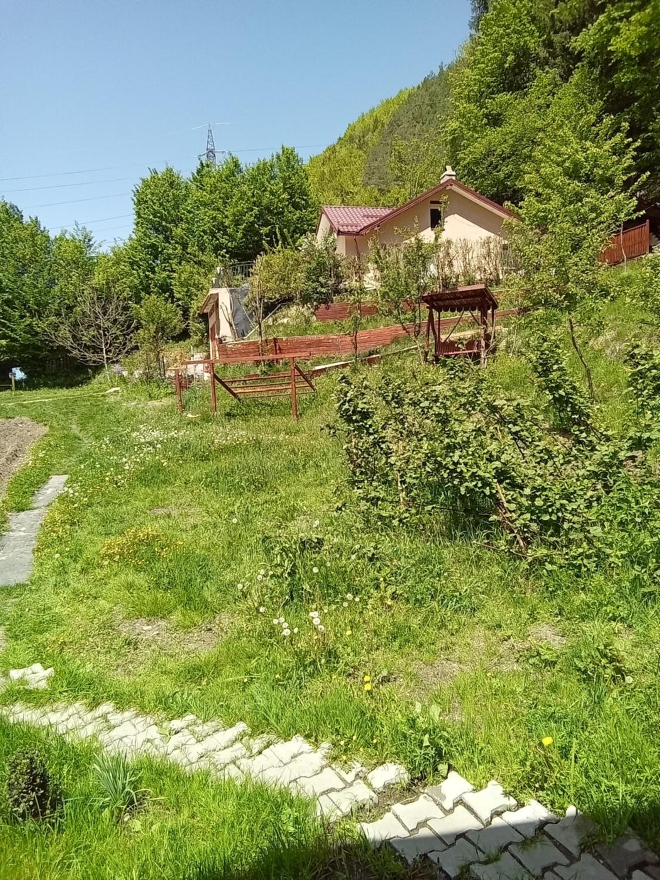 Photo 45