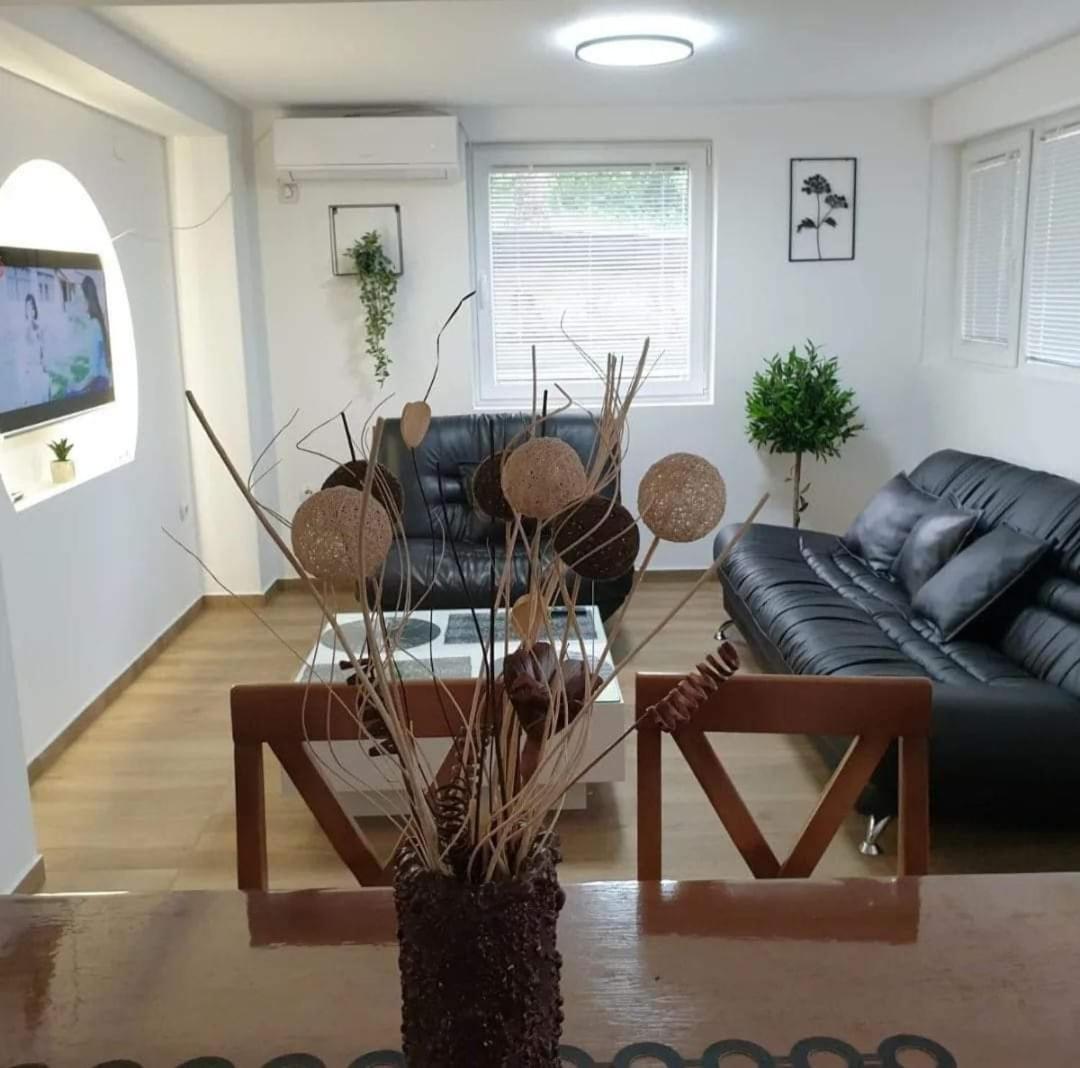 Apartman Djukic Sokobanja 1 view 3