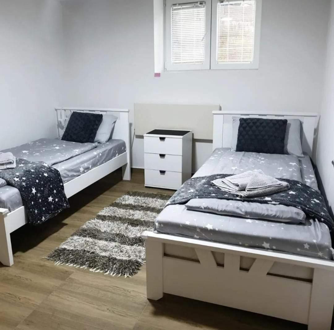 Apartman Djukic Sokobanja 1 view 4
