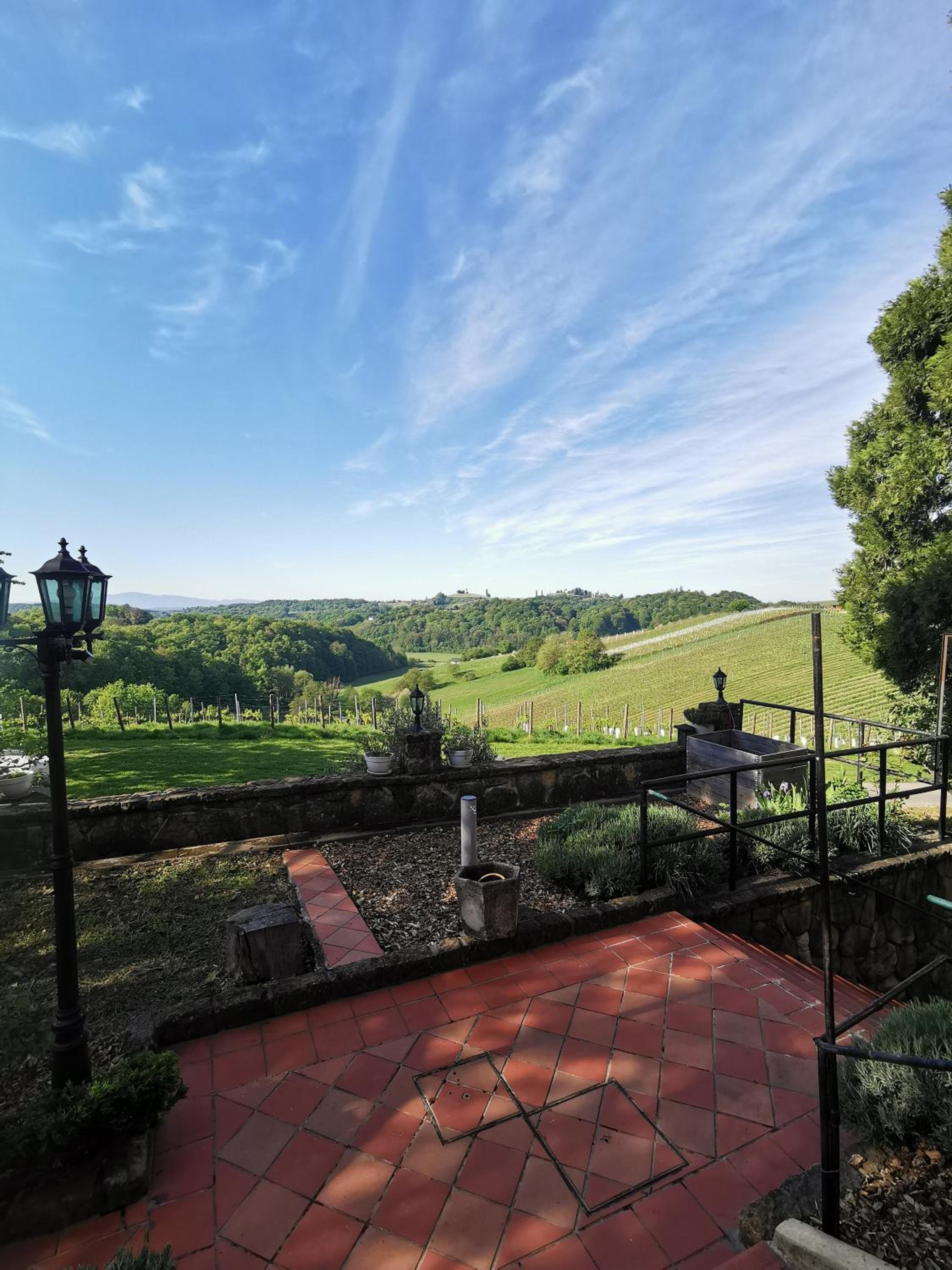Herga Wine Estate - Old lady - Holiday Home view 4