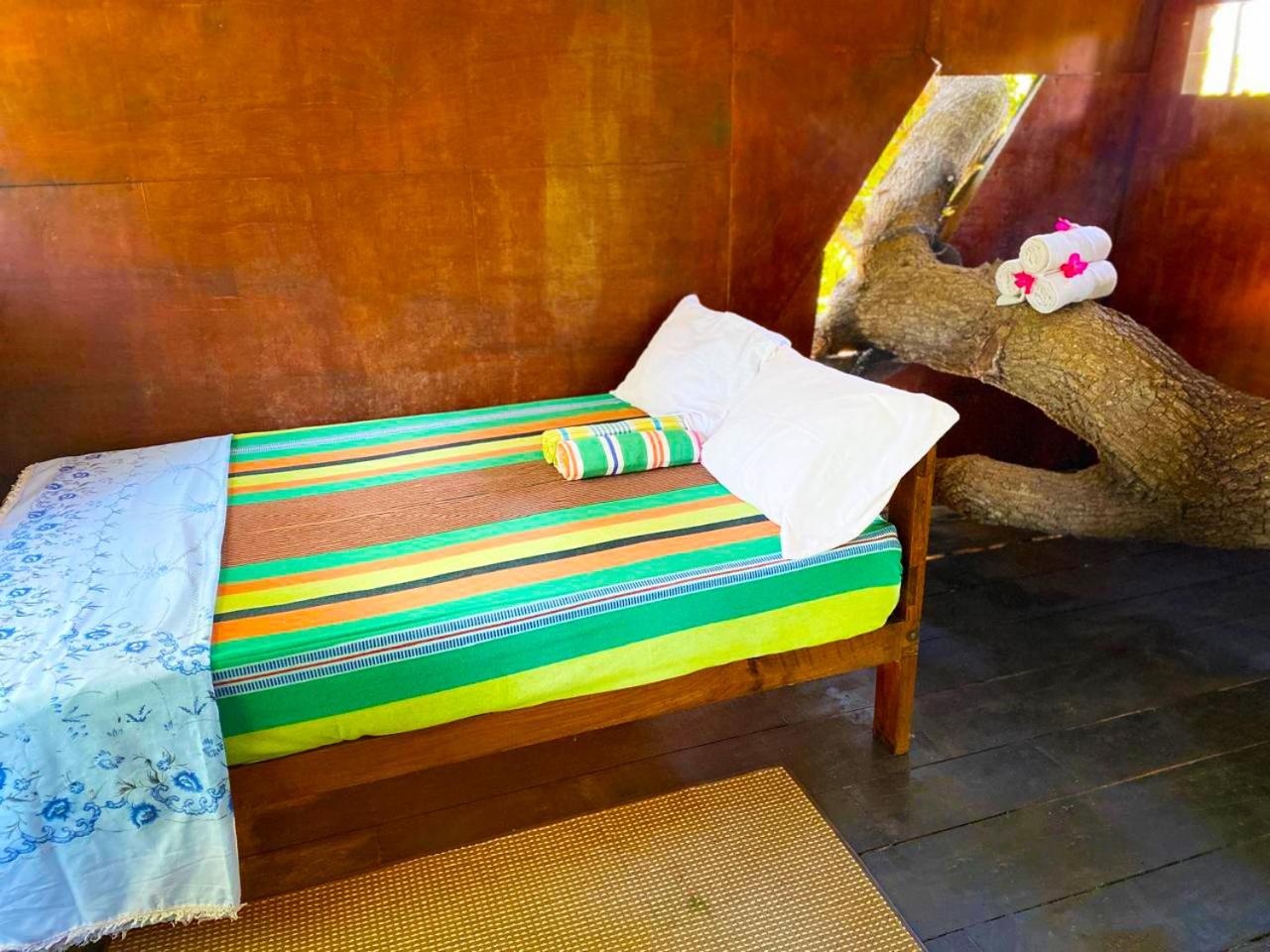 Photo 23