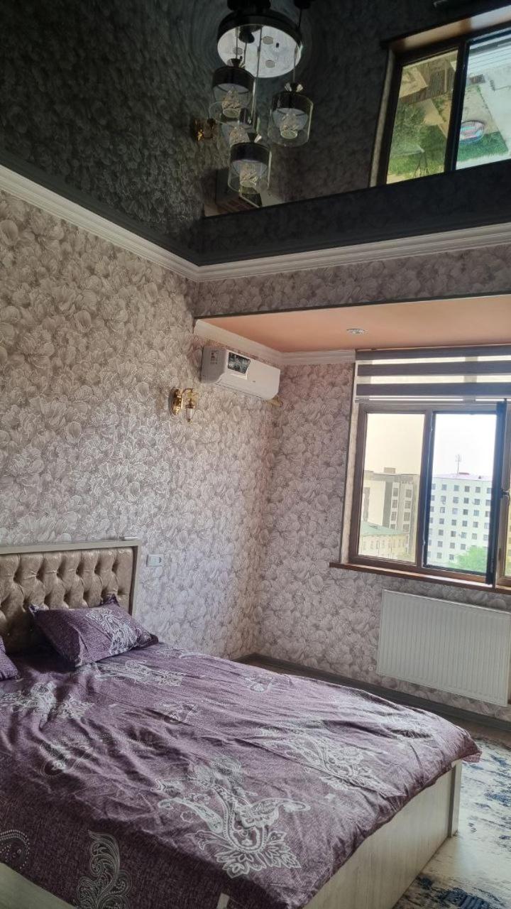 Warmth & Comfort Apartment