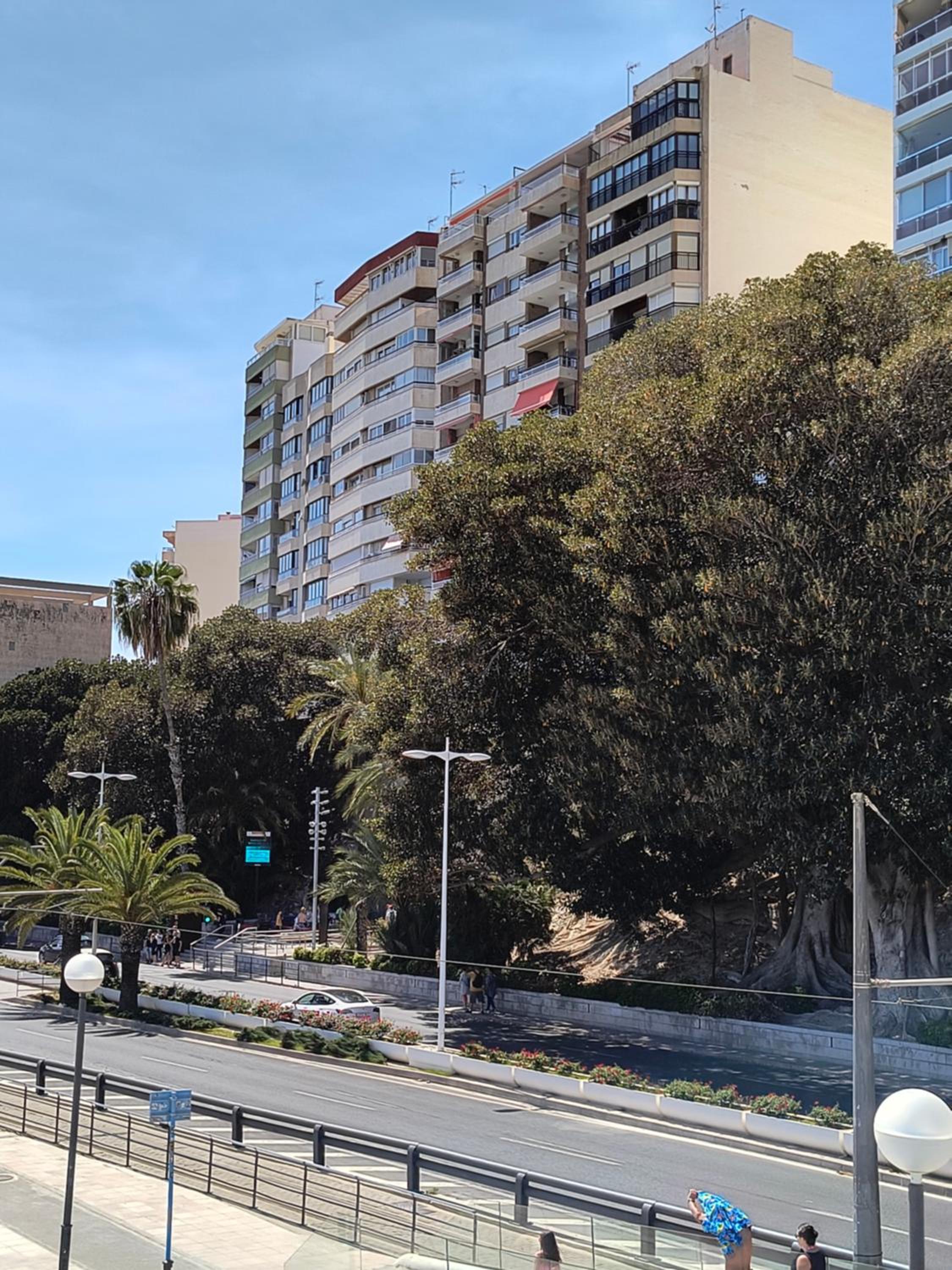 APARTAMENTO PLAYA