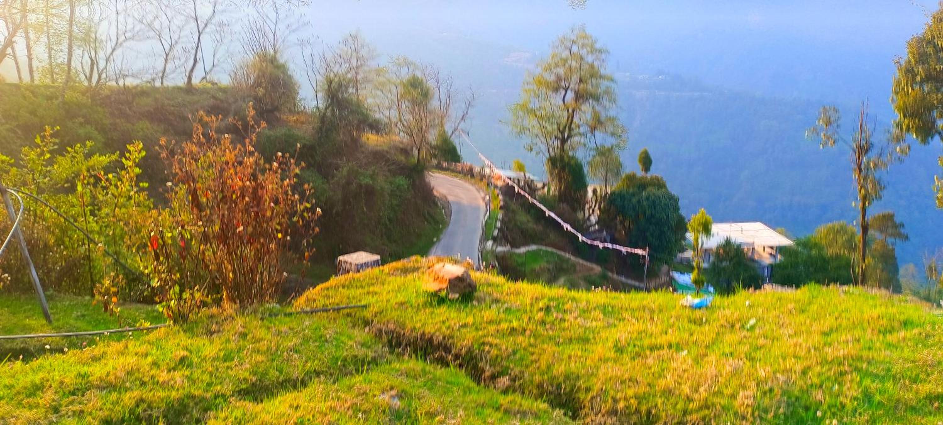 Sikkim Silk Route Riverside Resort, Rongli view 5