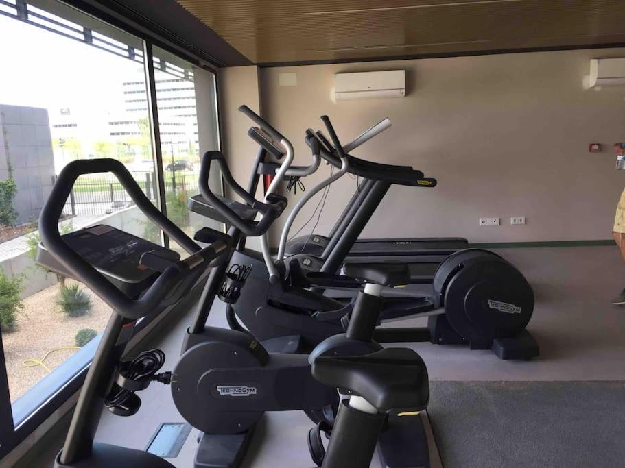 Business Apartament, Torre Australis