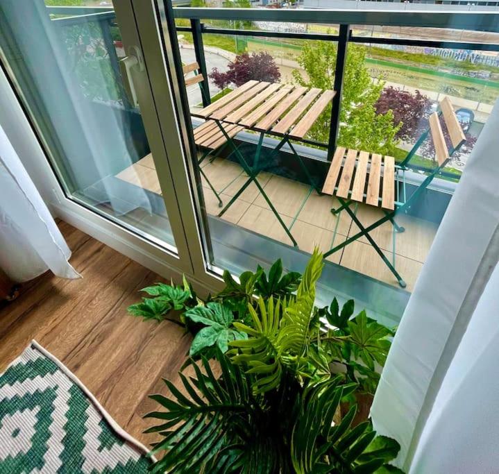 Business Apartament, Torre Australis