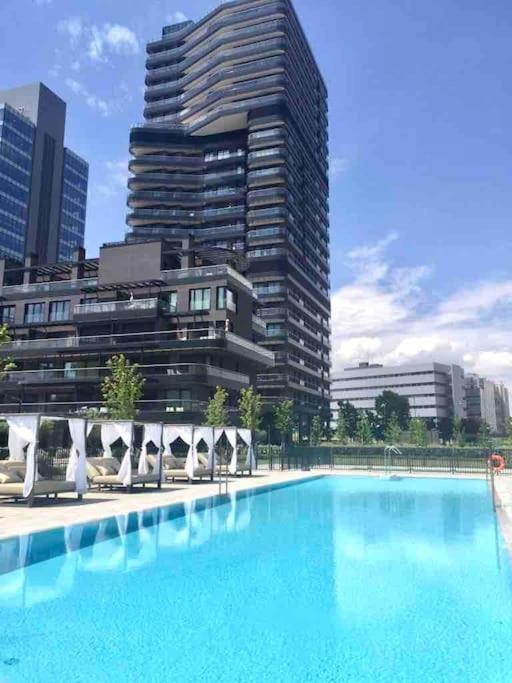 Business Apartament, Torre Australis