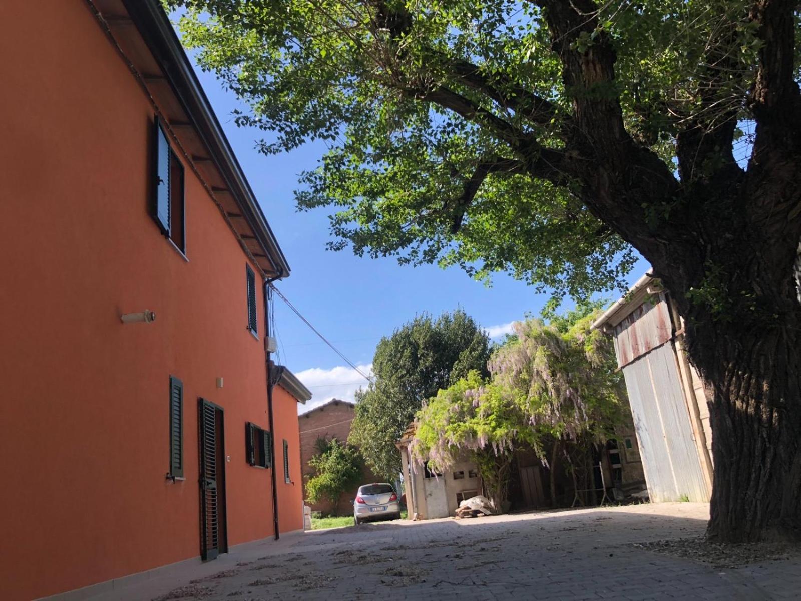 LA CASA DI GIADA - vicino autostrada di Imola - self check in e parcheggio gratis view 3