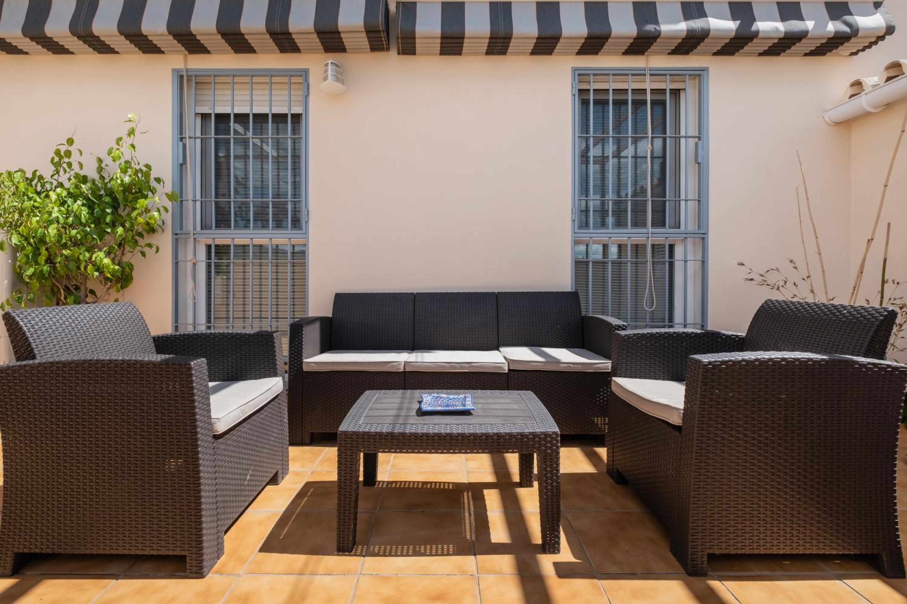 balance & terrace