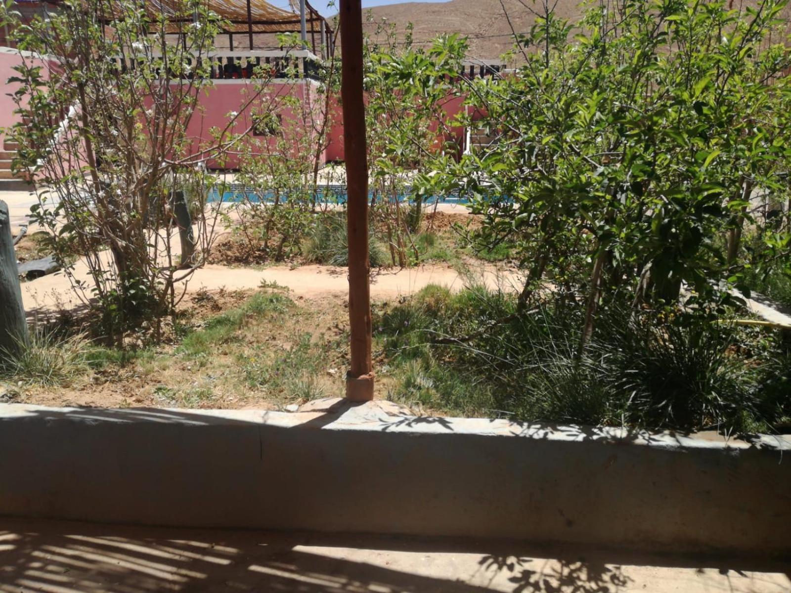 Photo 8