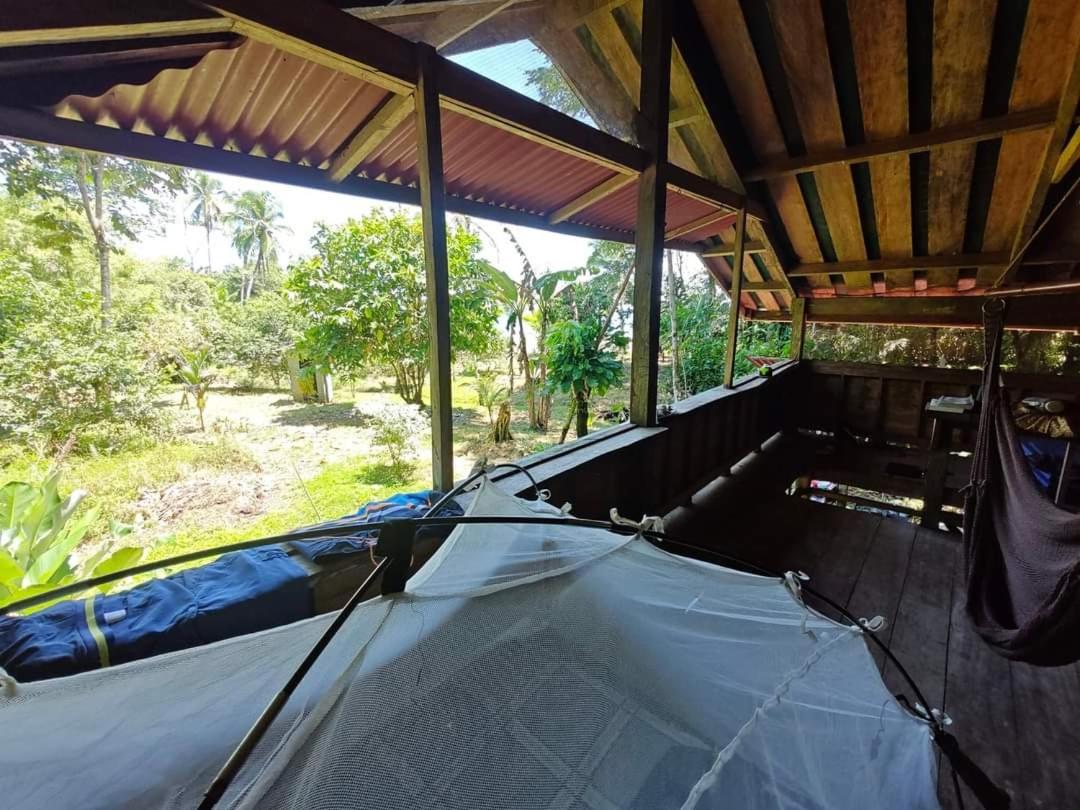 Selva Azul