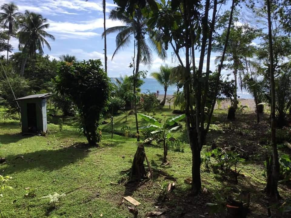 Selva Azul