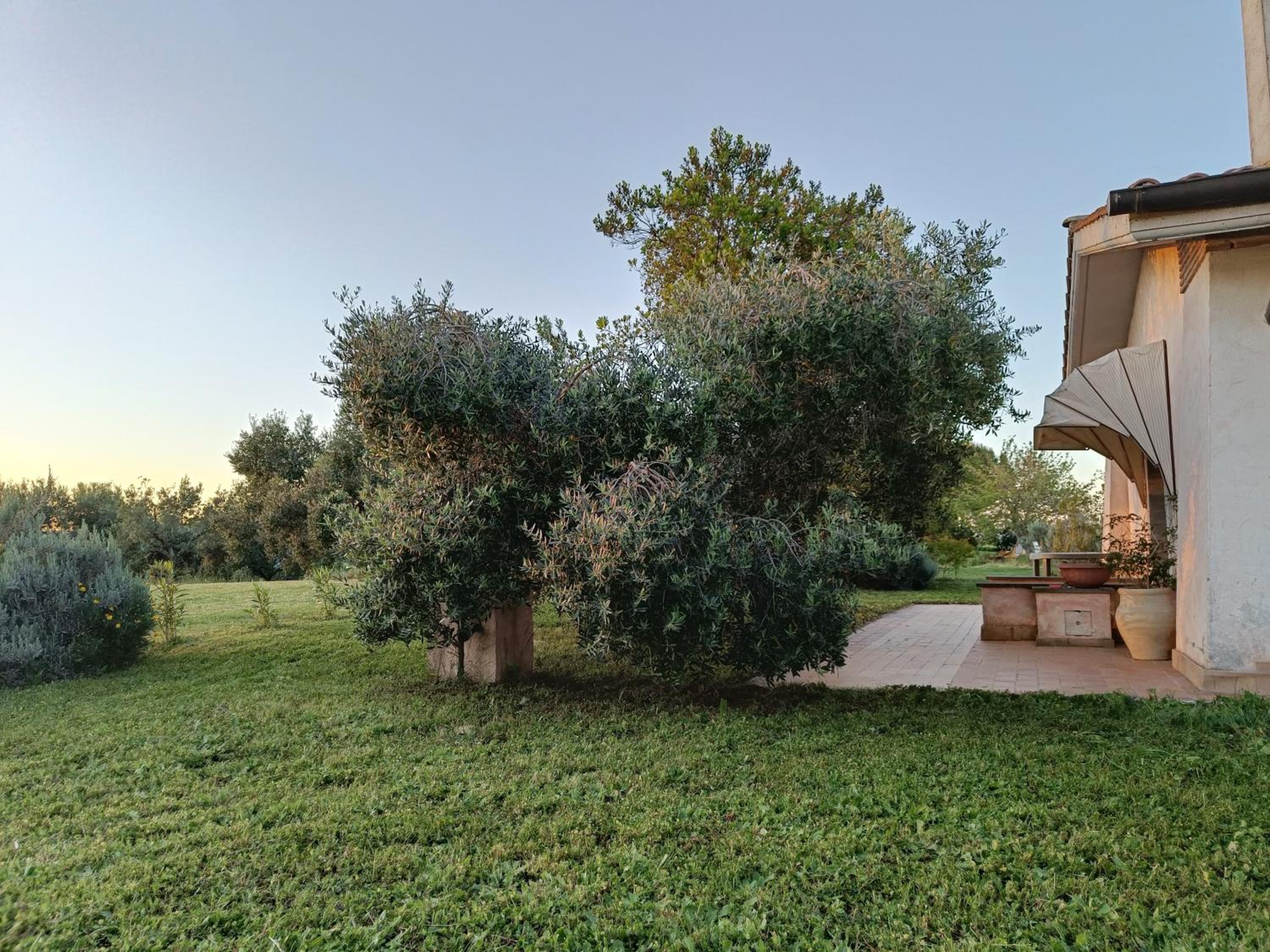 Agriturismo Fontelupo