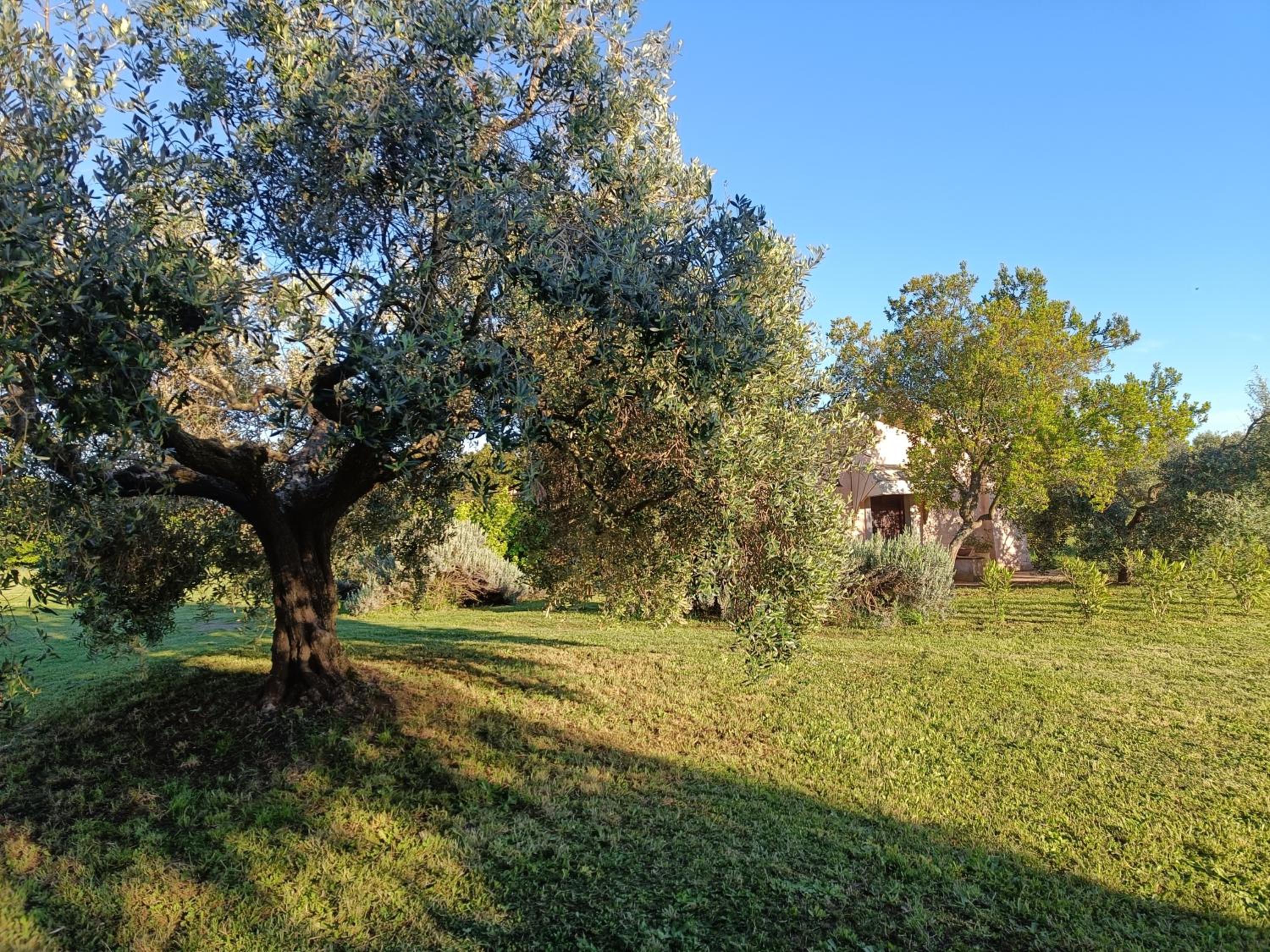 Agriturismo Fontelupo