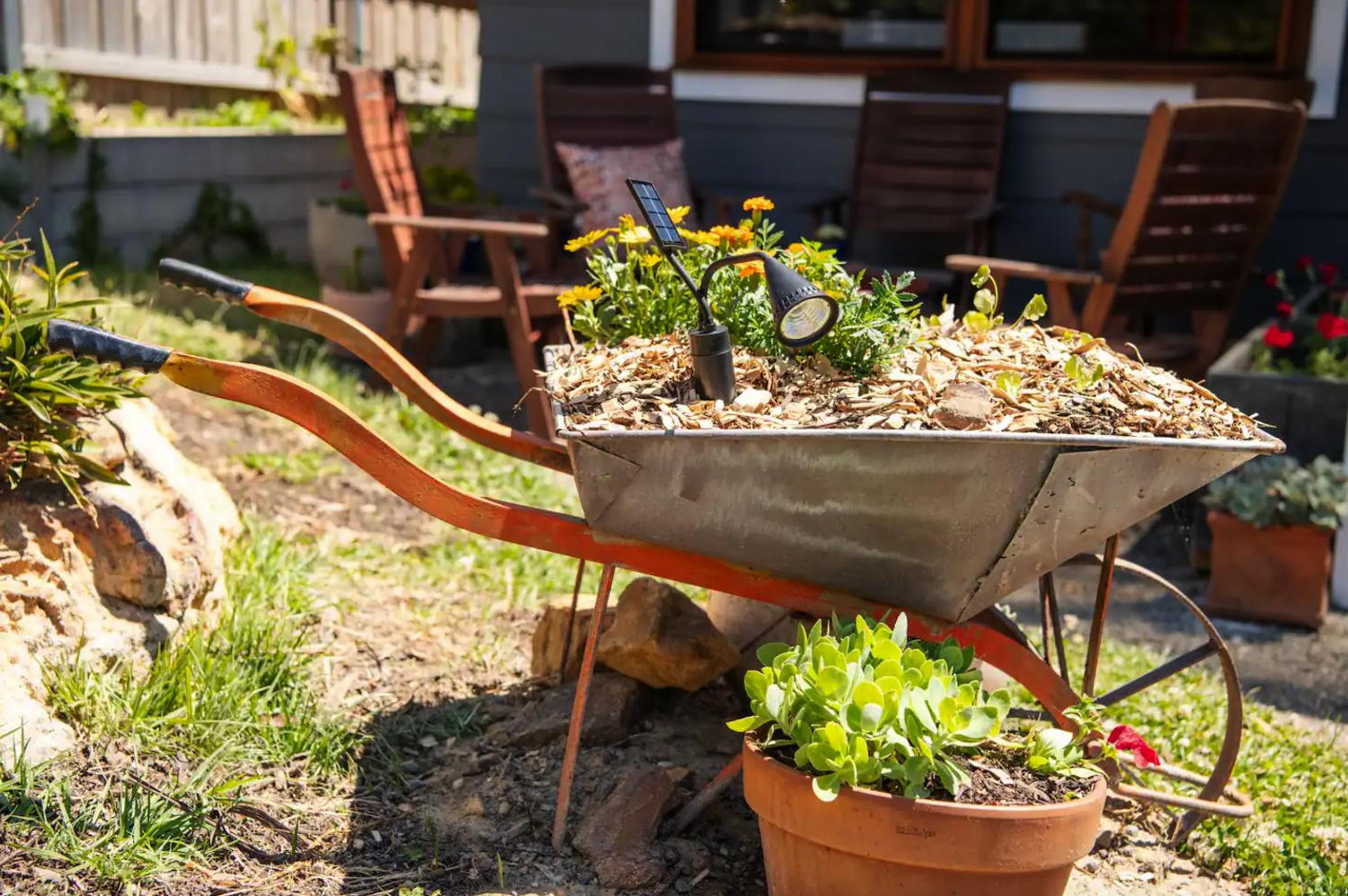 Blue Mountains Urban Farm Stay near Sydney