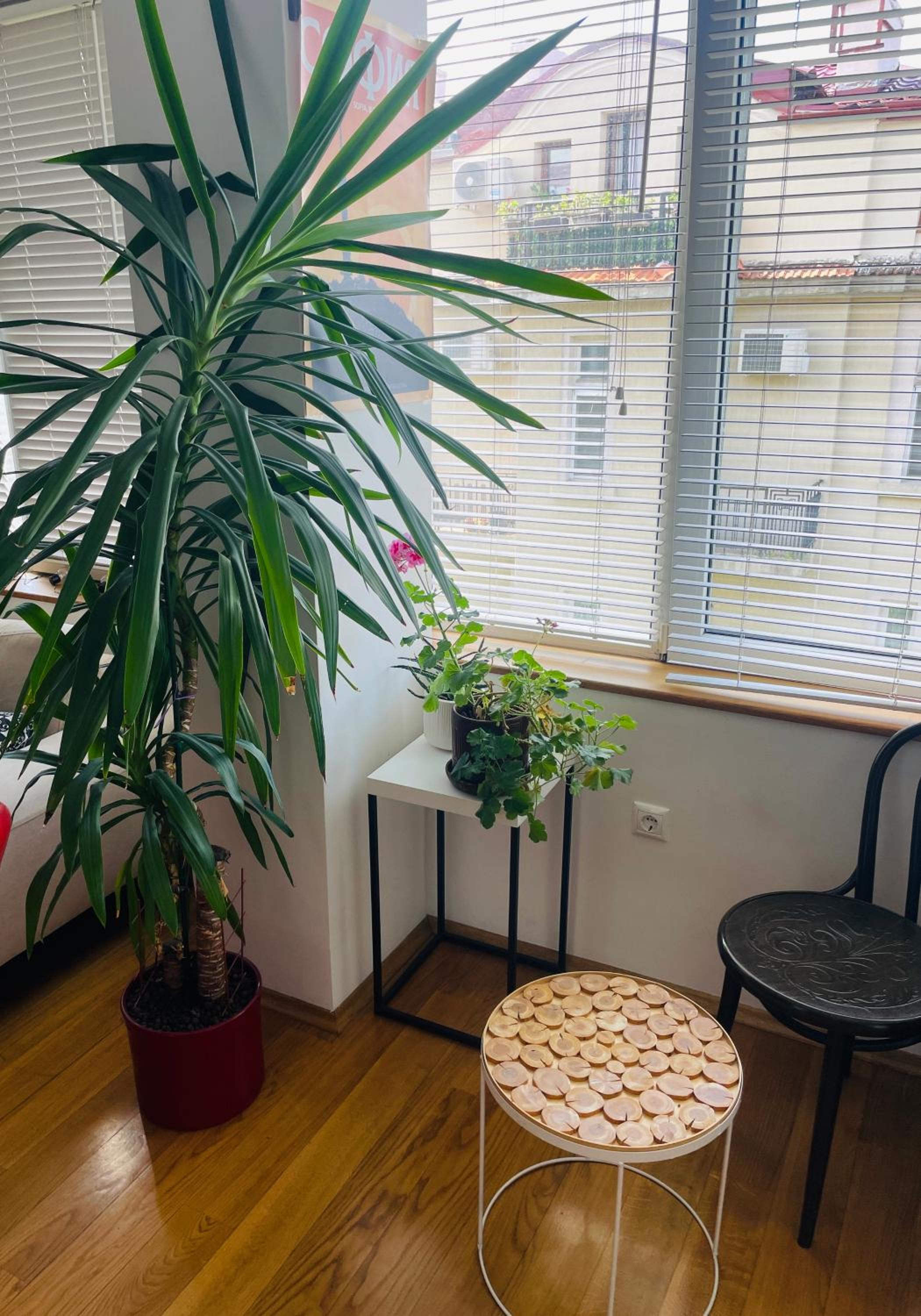 Large 2-BEDROOM Centre Art Apartment