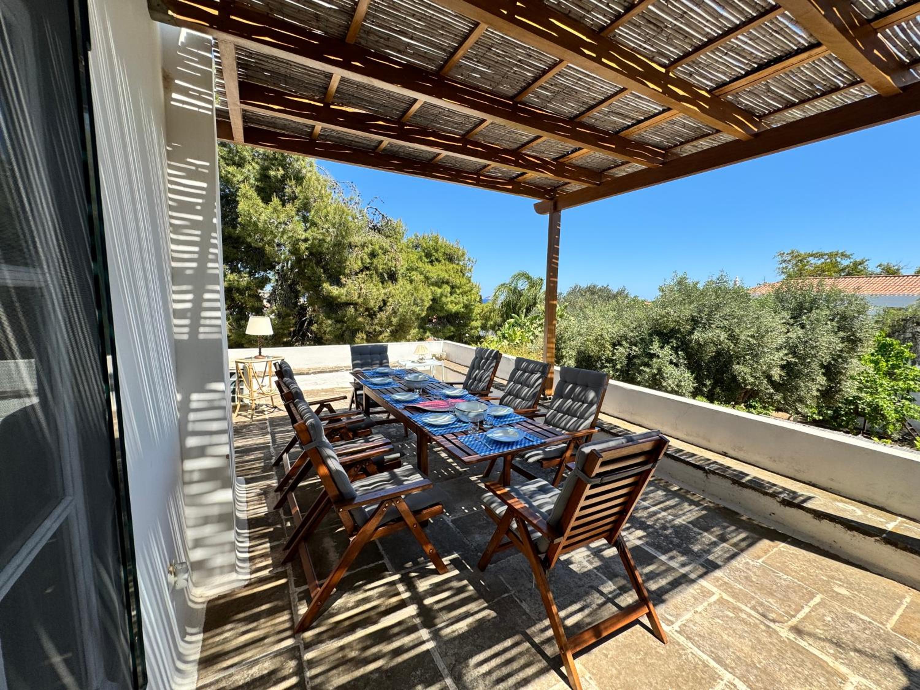 Two Olive Trees view 2