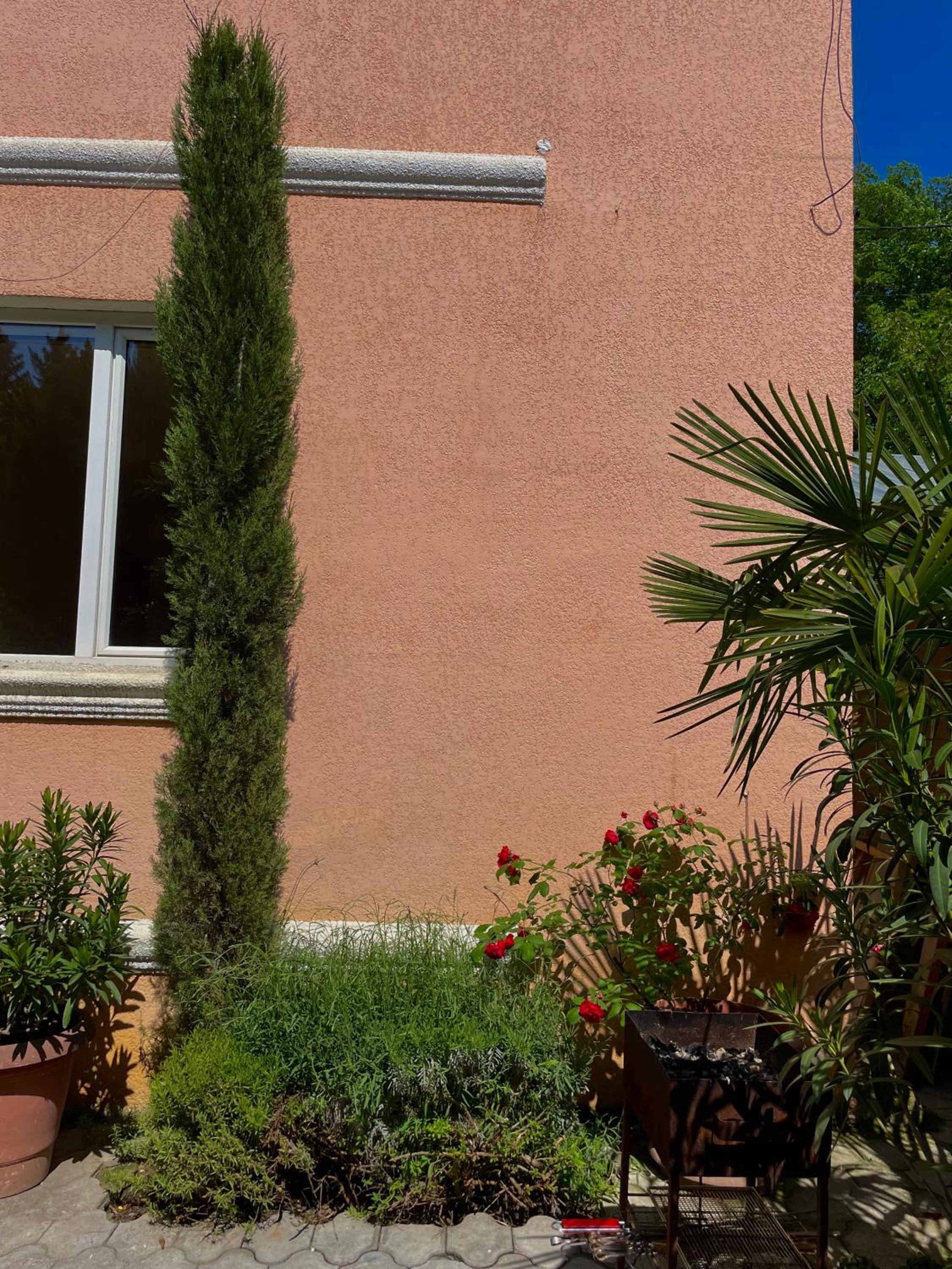 Varketili garden