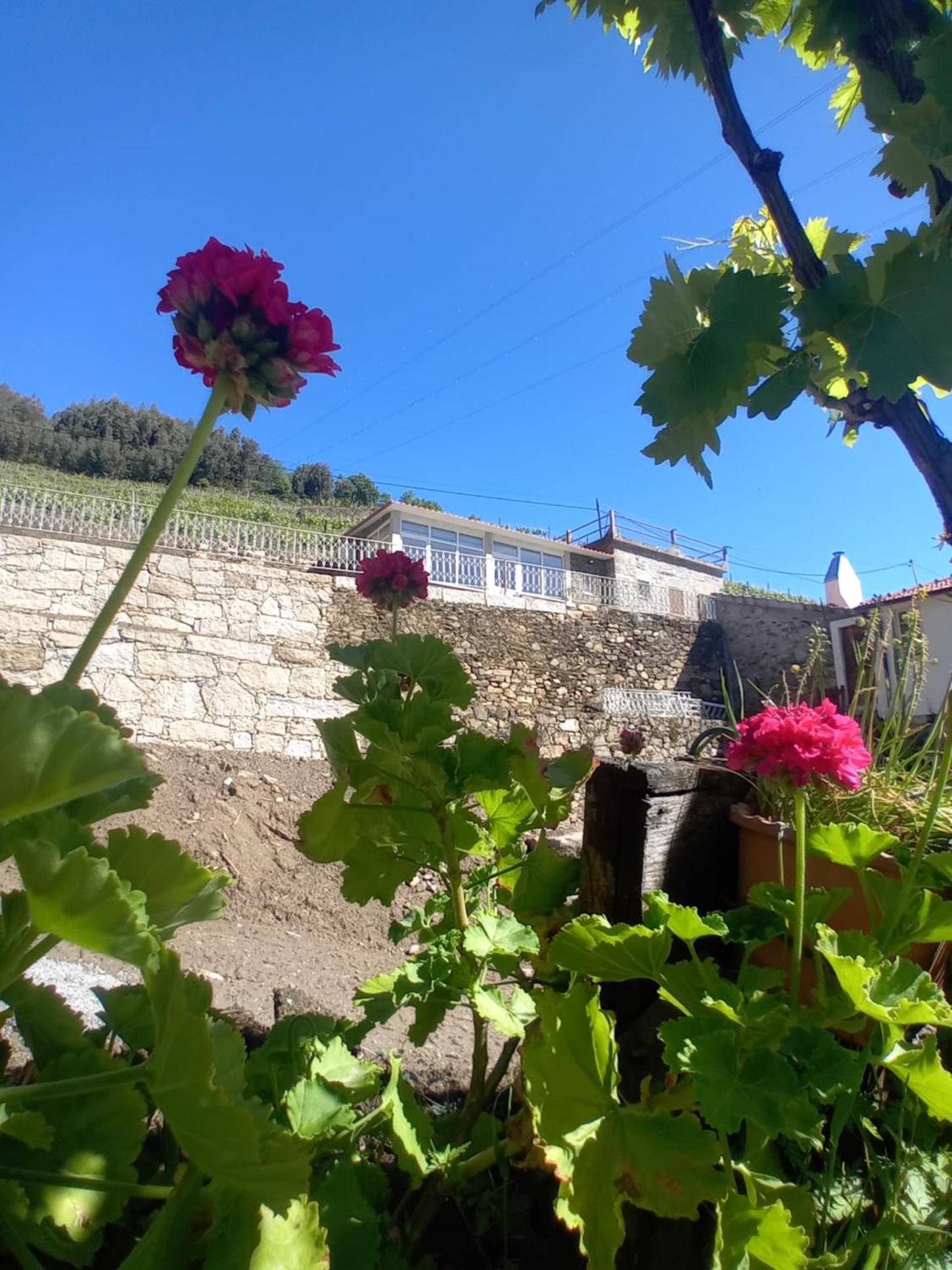 Casa da Quinta do Porto view 5