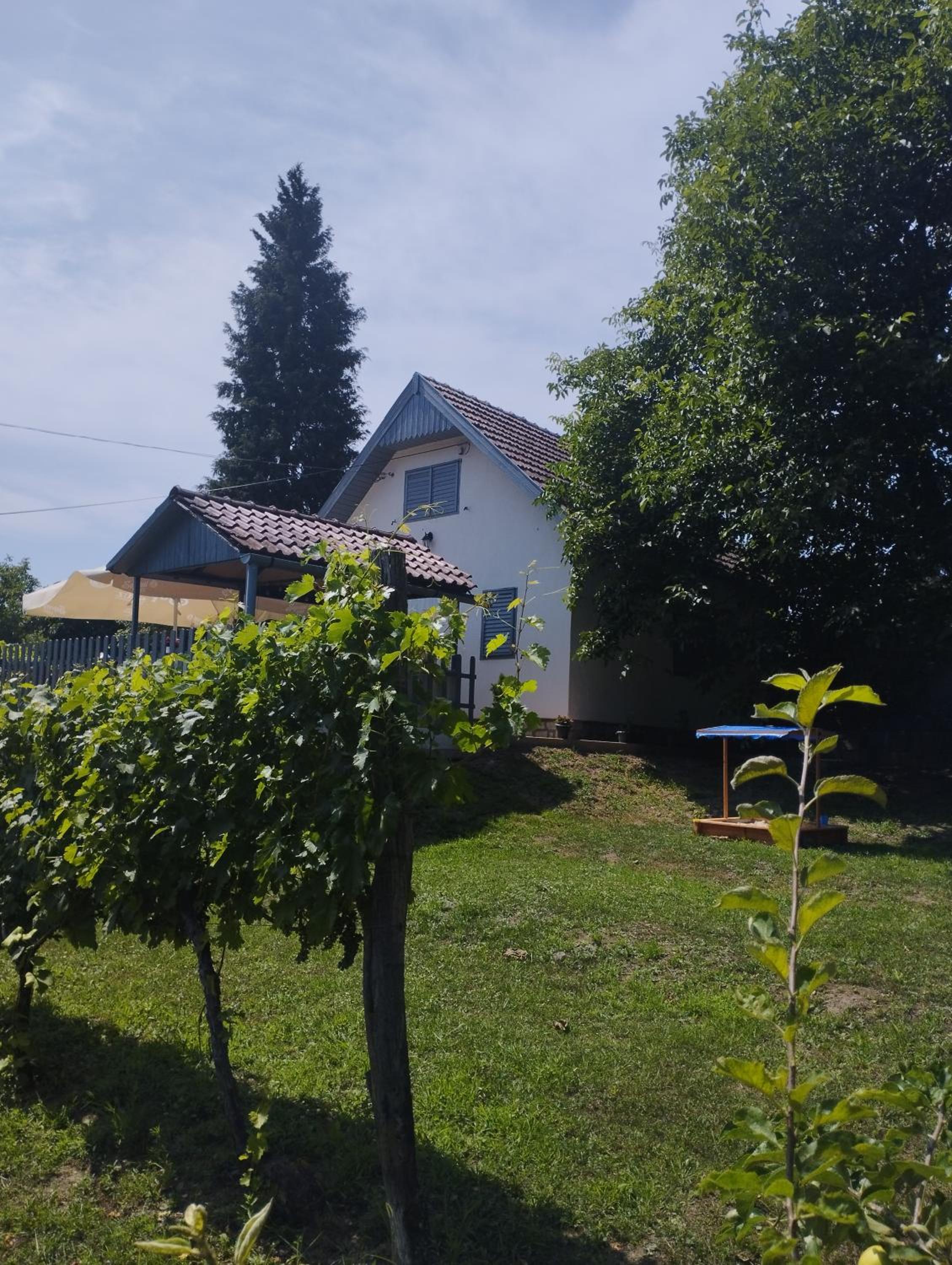 Photo 20