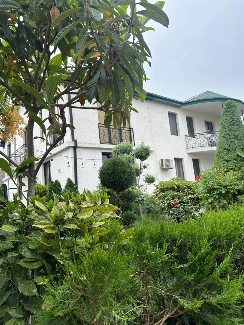 LARDA TBILISI