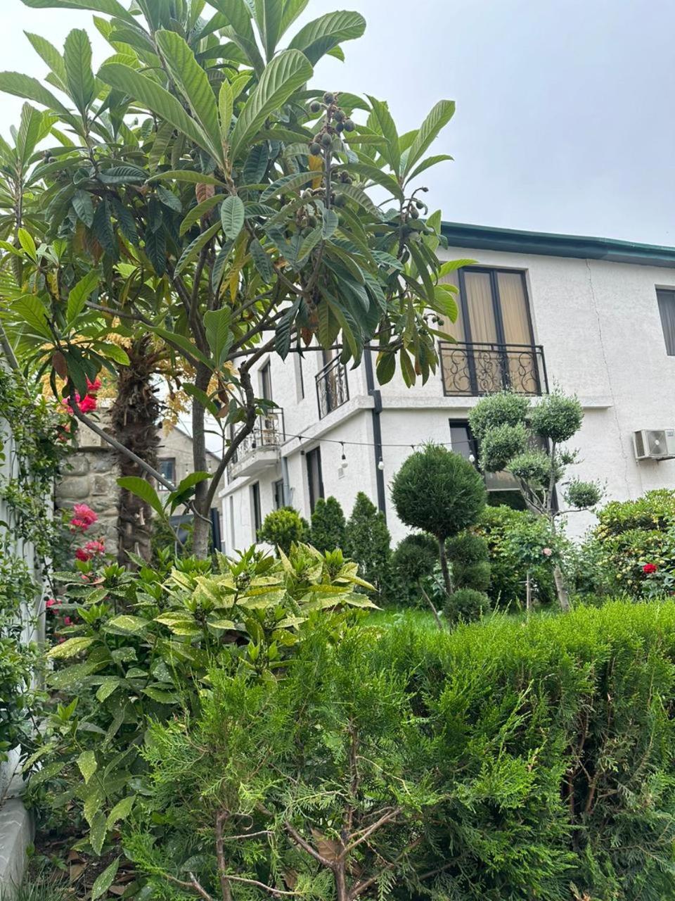 LARDA TBILISI
