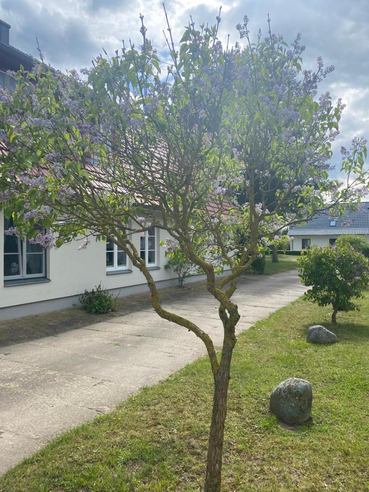 Ferienappartement Müritzkoje