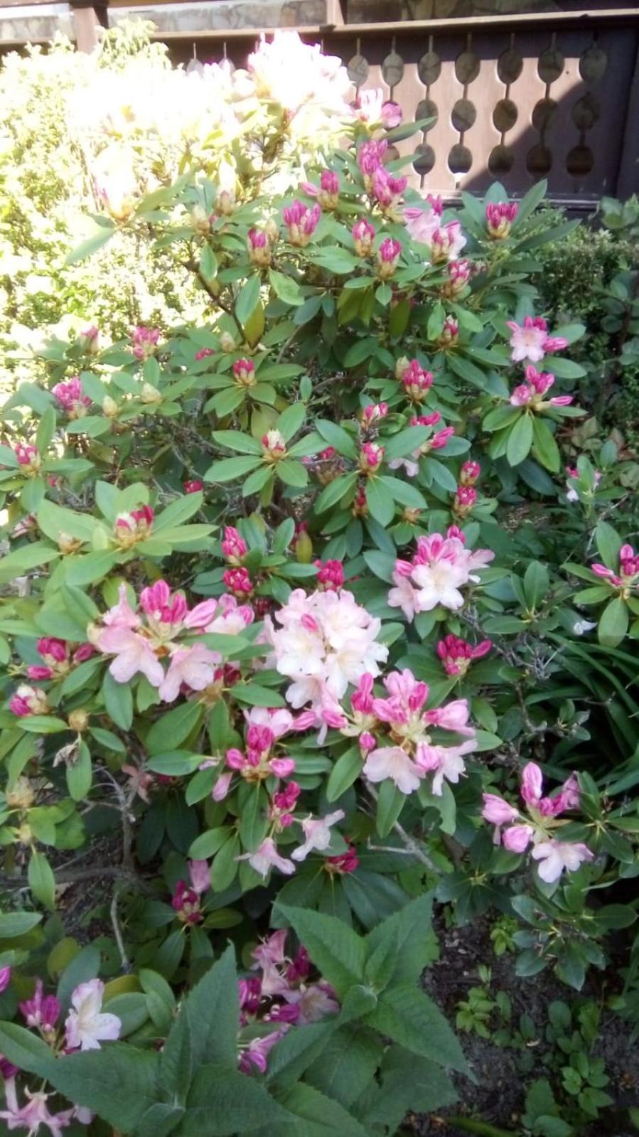 Photo 32