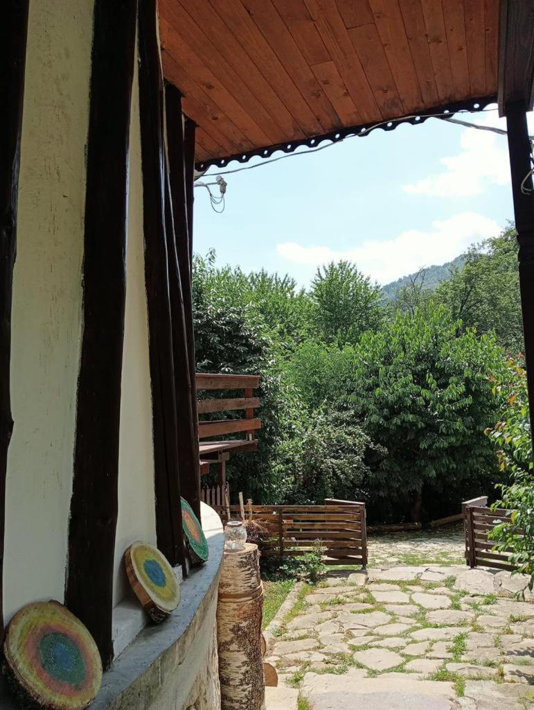 Photo 42