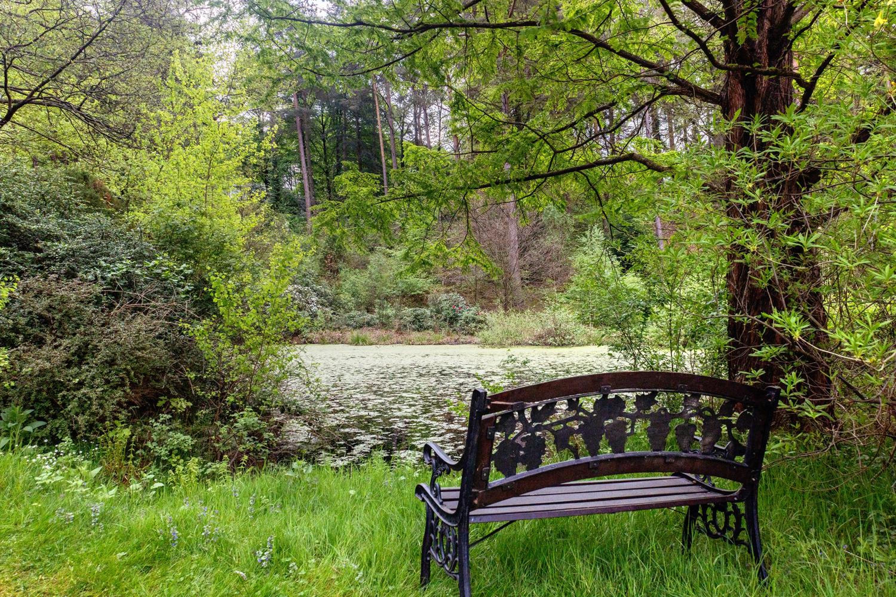 Grosszügiges Ferienhaus mit Wald