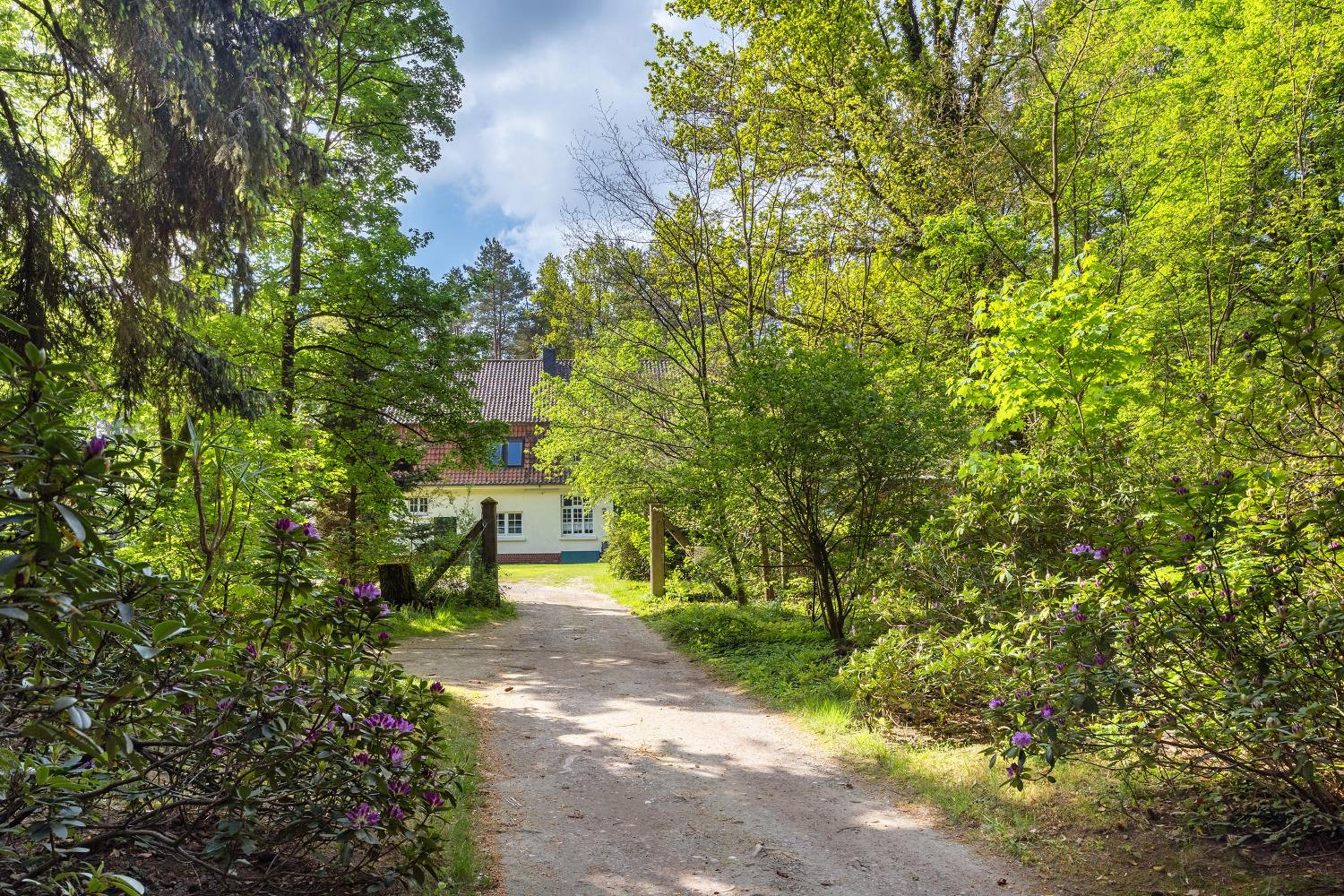 Grosszügiges Ferienhaus mit Wald