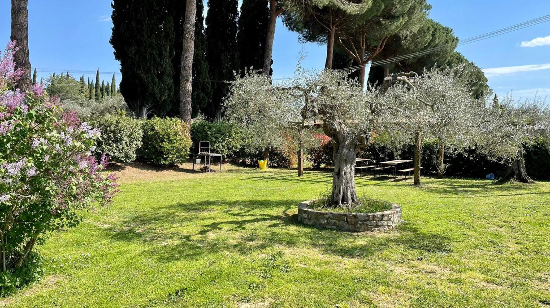 Tranquil location with views of Lake Trasimeno! photo 5