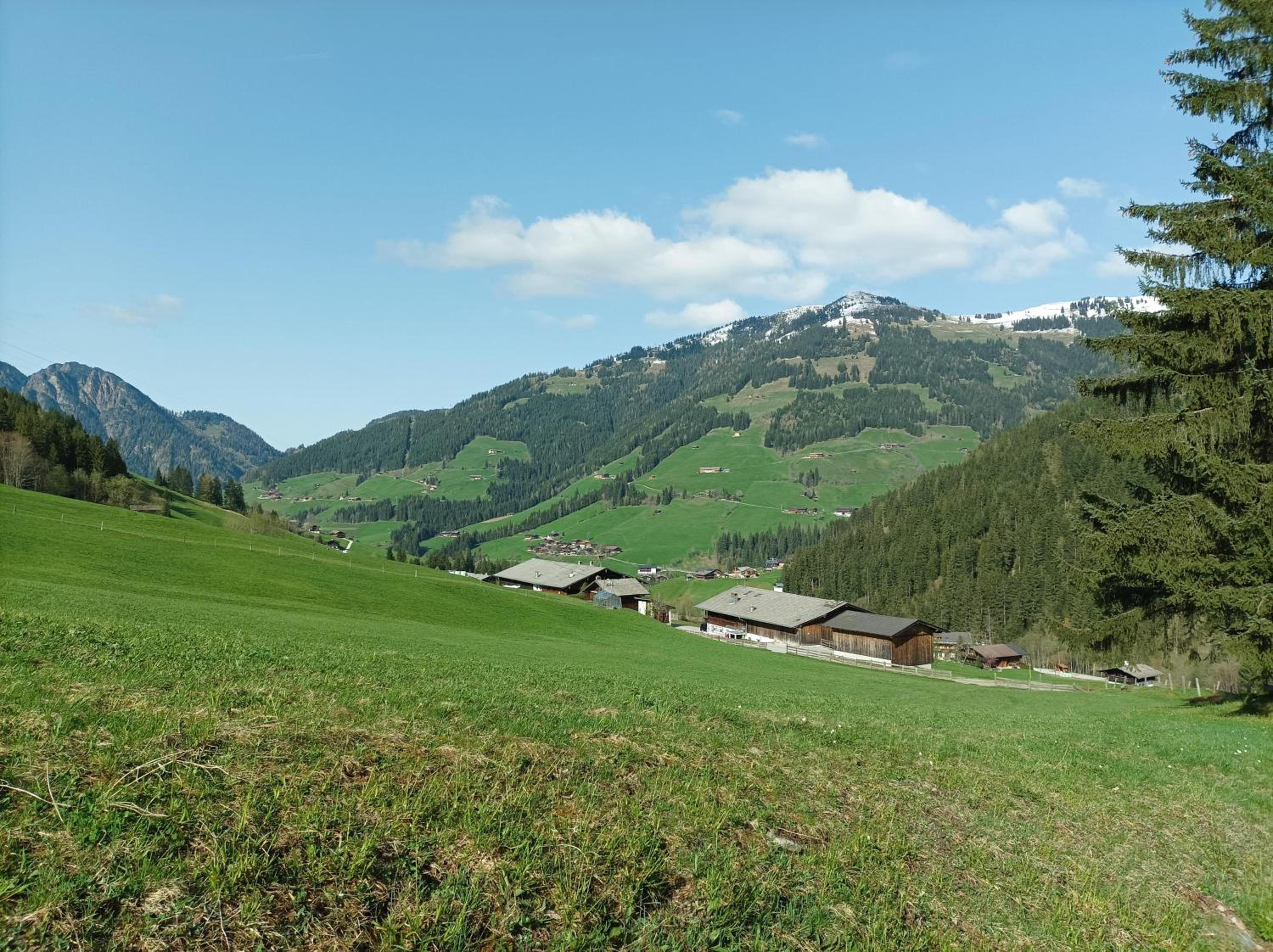 Ferienwohnung Innergreit